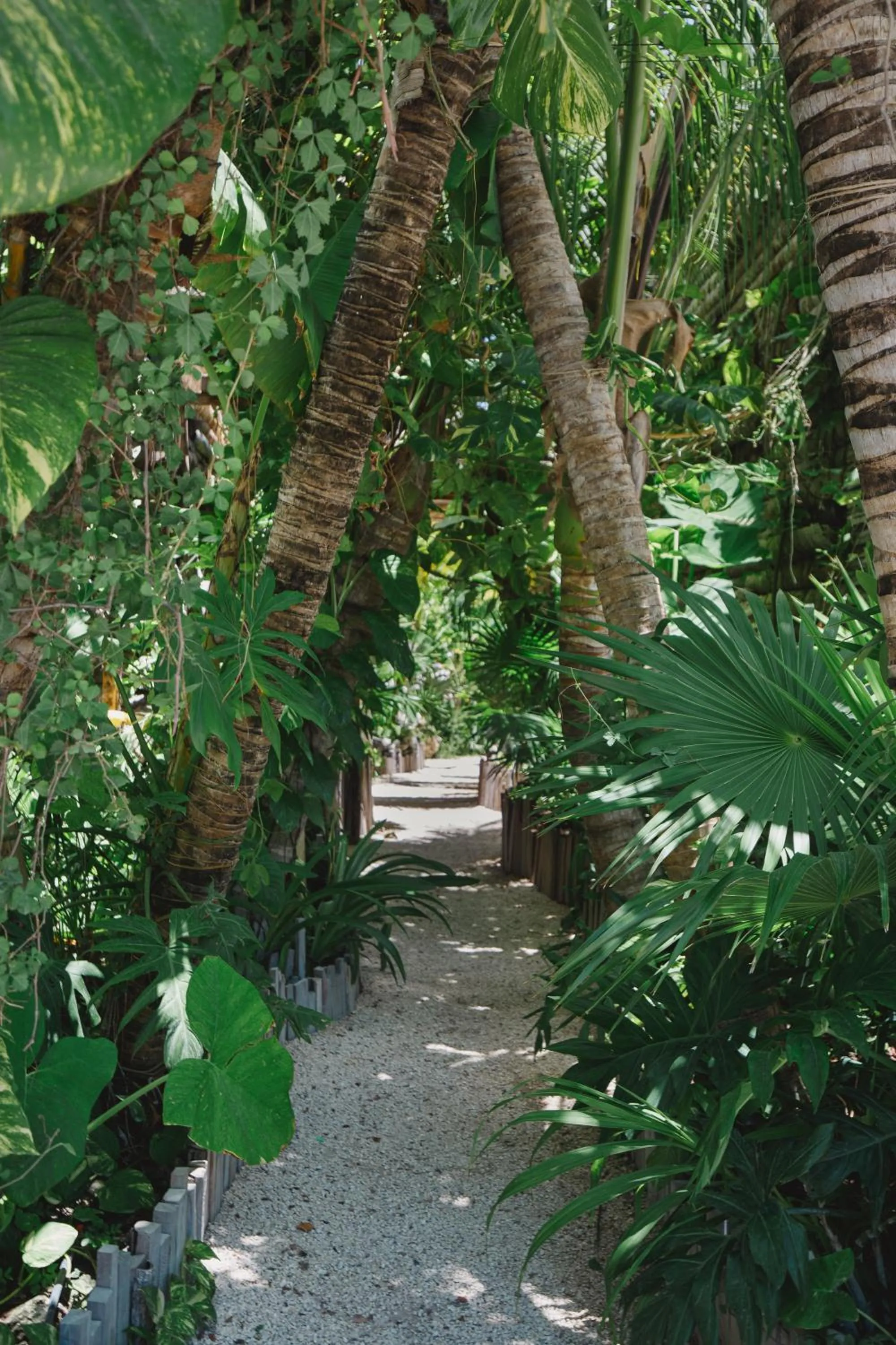 Garden in Enigmatic Beach Hotel
