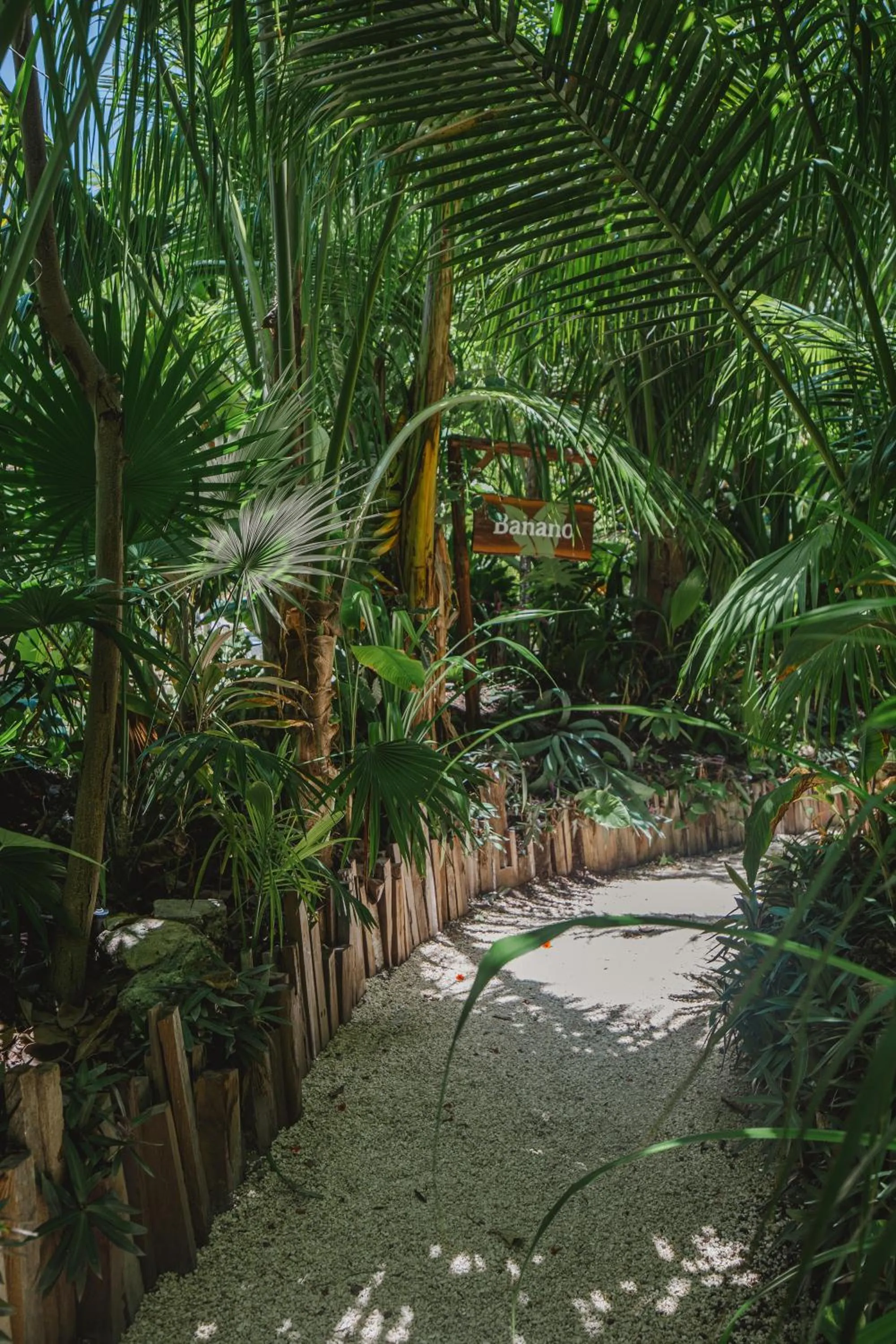 Day in Enigmatic Beach Hotel