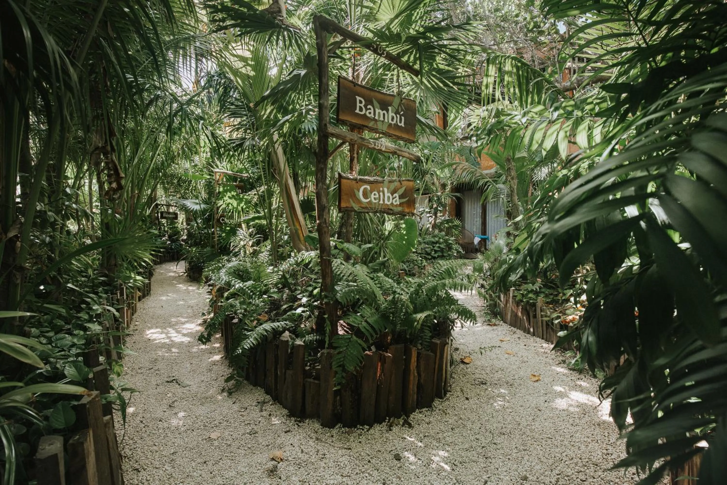 Natural landscape in Enigmatic Beach Hotel
