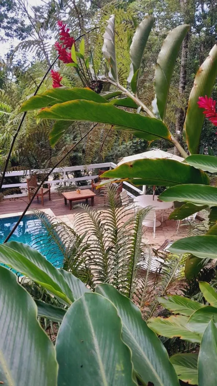 Solarium in BOSQUE TOQUE TOQUE Pousada