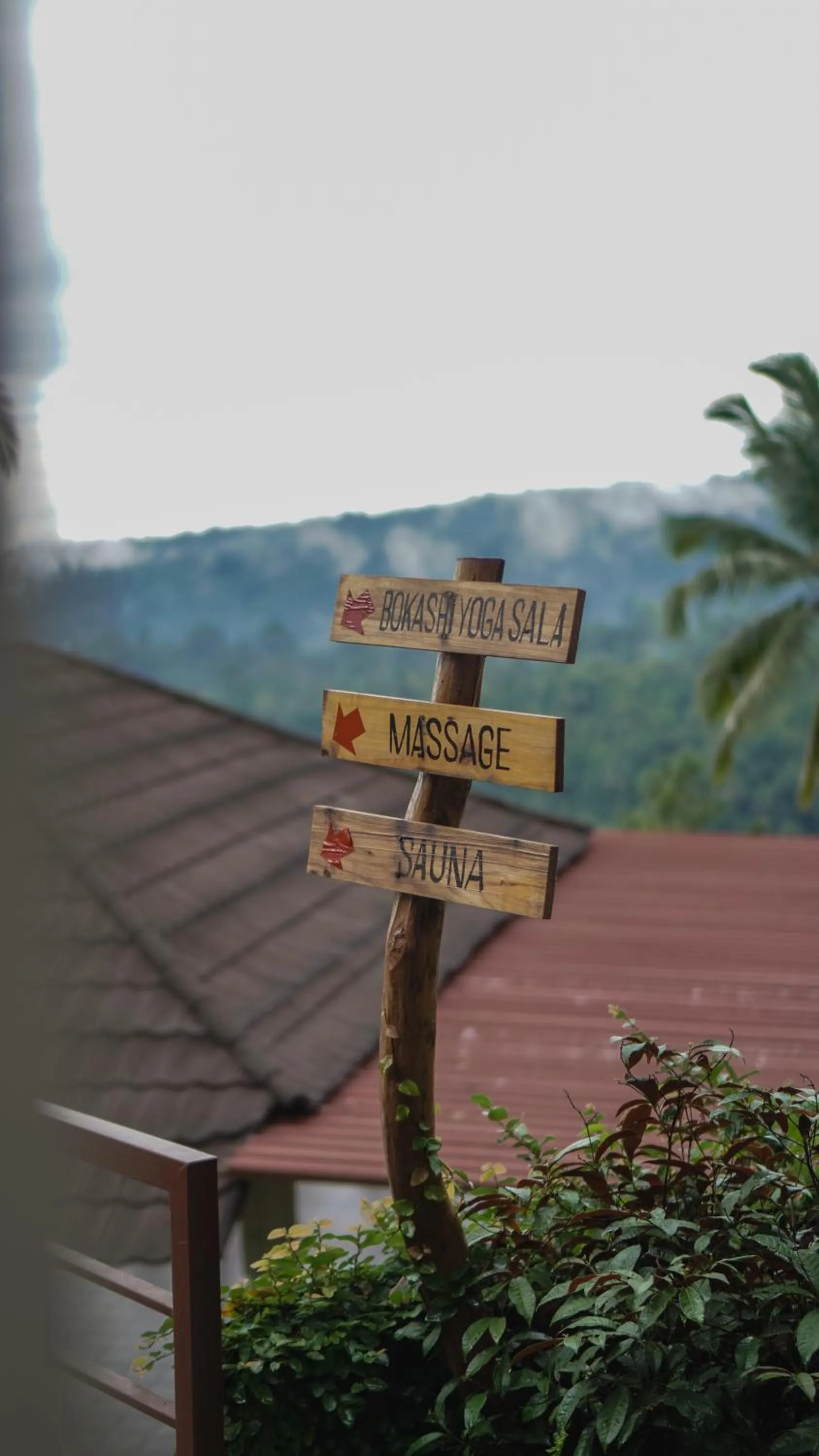 Natural landscape in VILLA IPSA