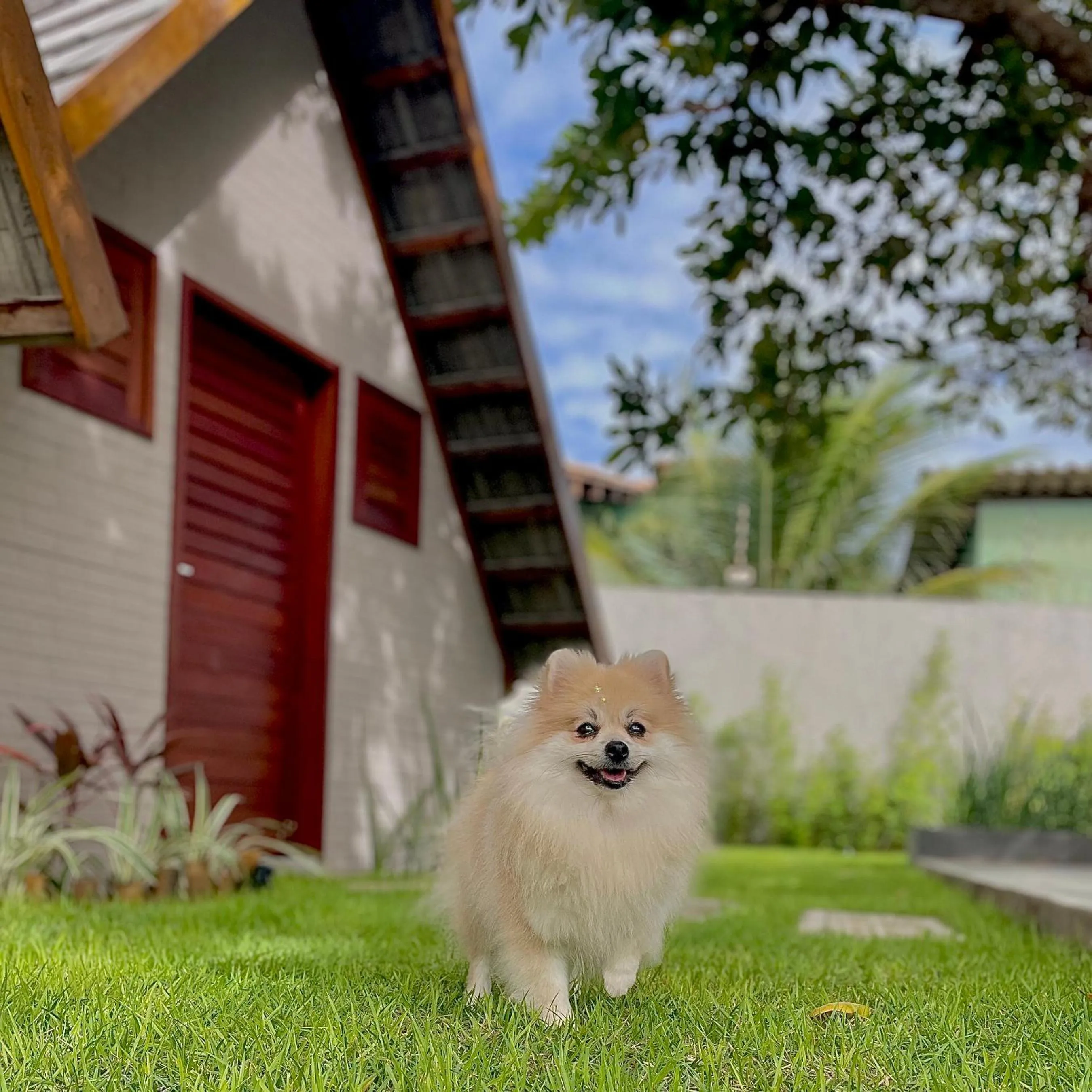 pet friendly in Pousada Villa di Luna