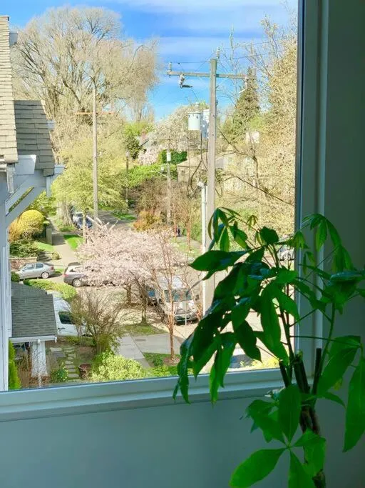 Lofty Studio Prime Cap Hill Area Mins to Downtown