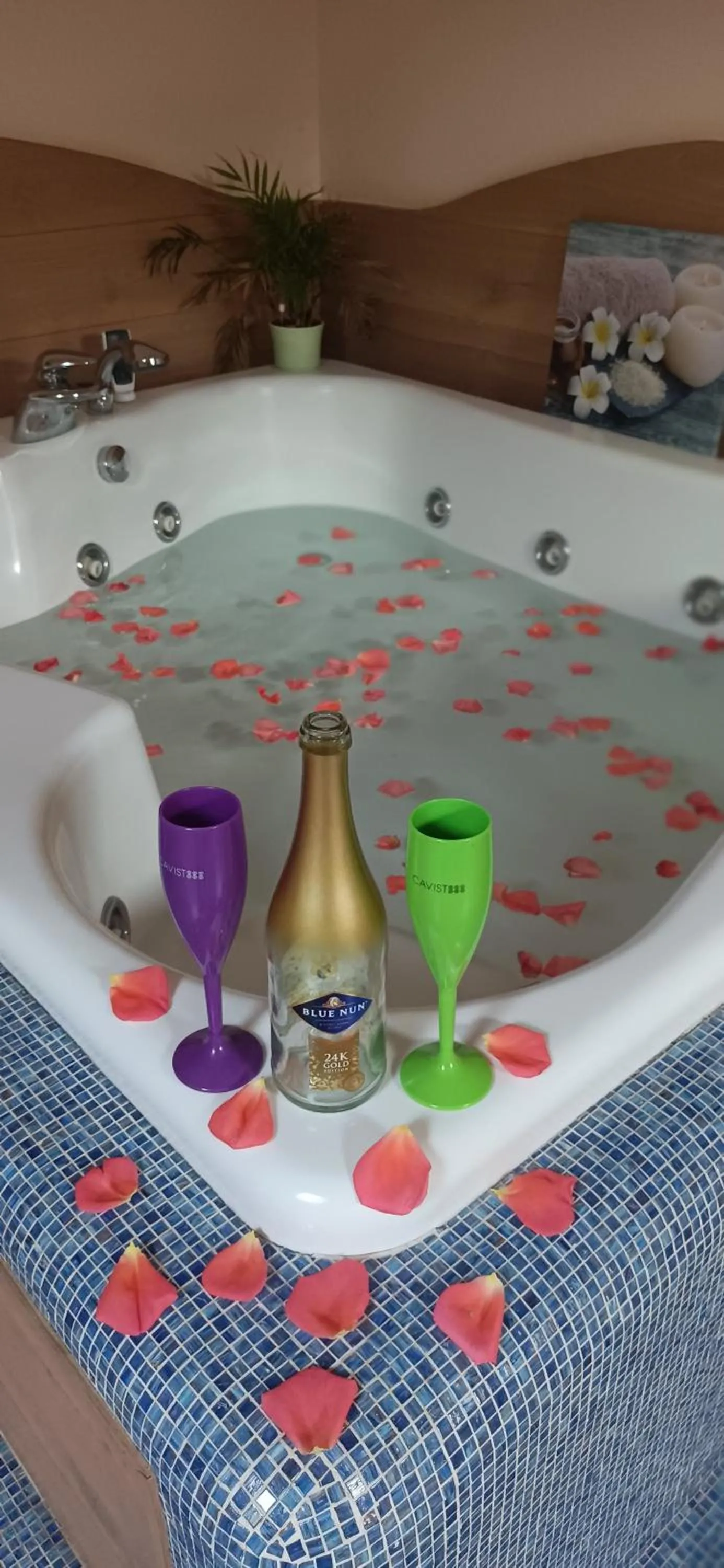 Two-Bedroom Apartment in Central Terrace Escape with Jacuzzi