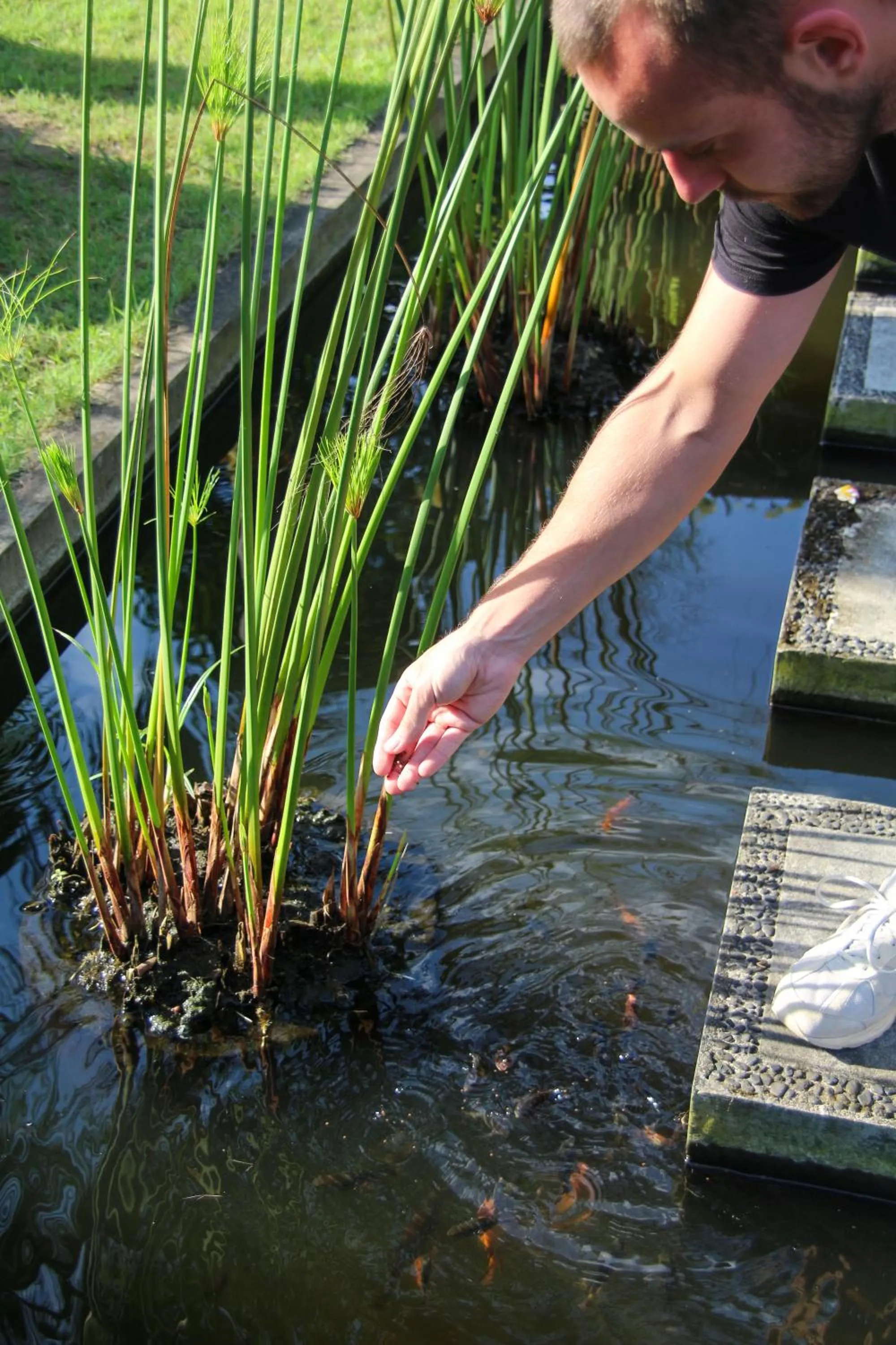 Bali Hai Island Resort