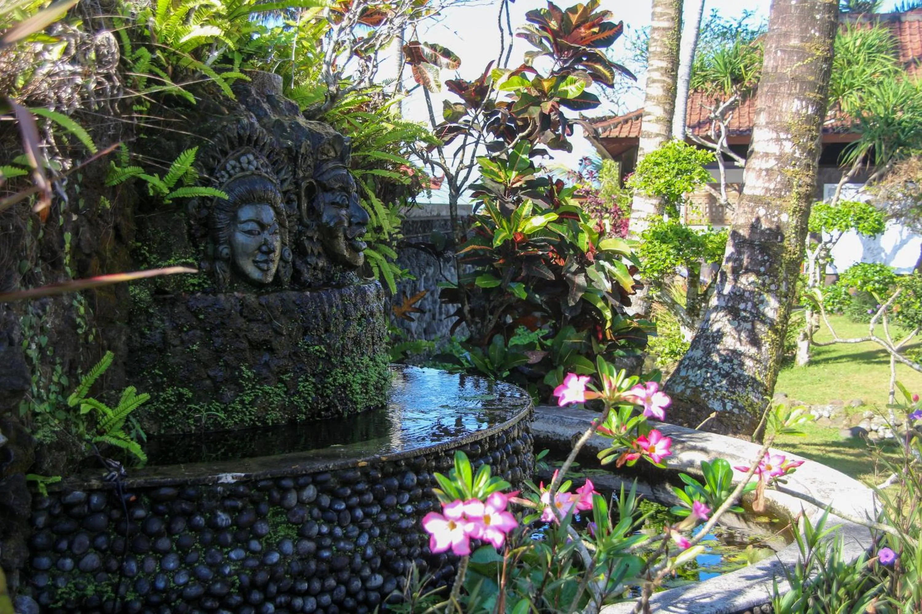 View (from property/room) in Bali Hai Island Resort