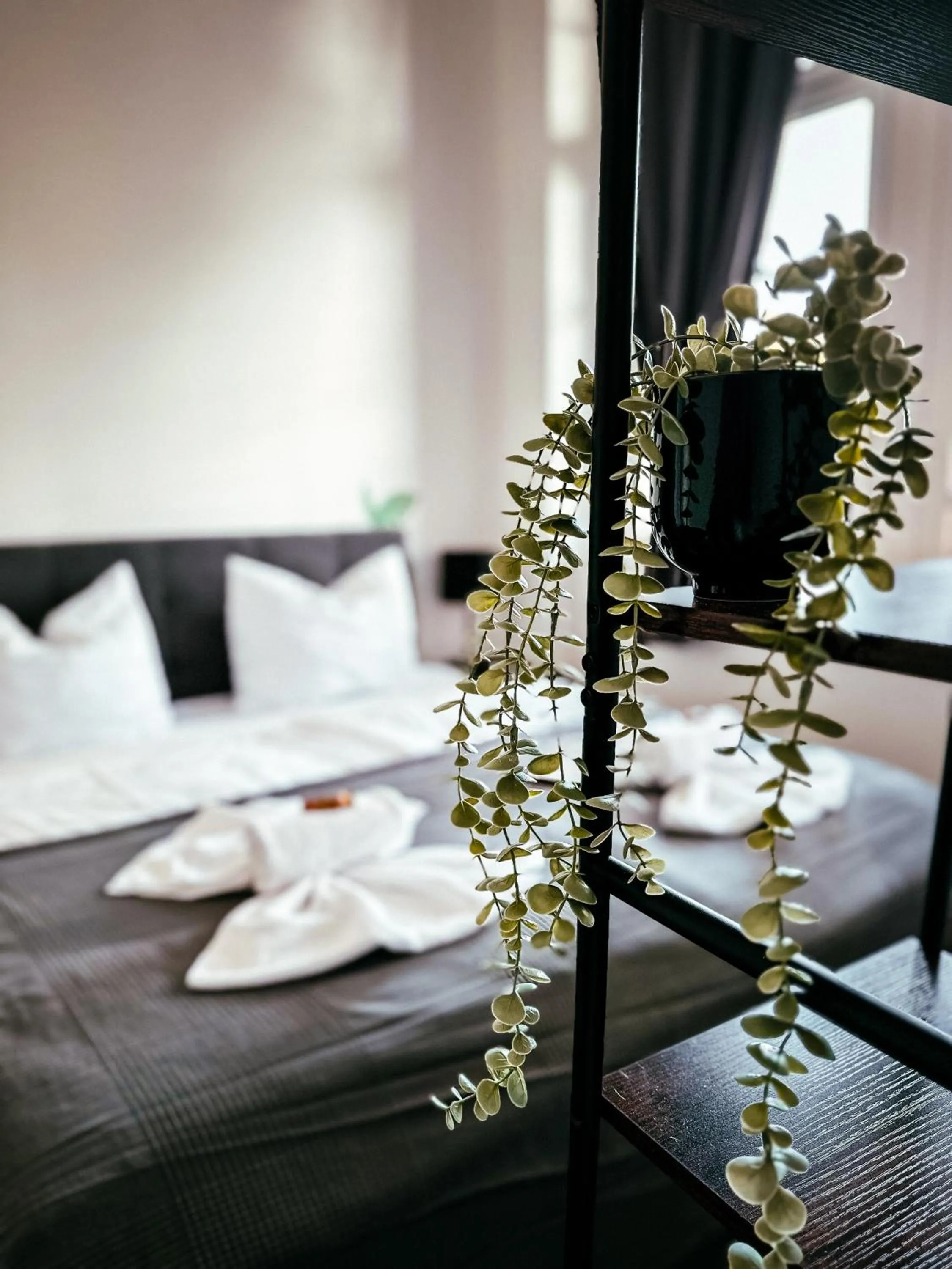 Bed in Oasis Appart - Wohnen im Königspark - Elbhang Dresden - große Terrasse - Netflix - TG