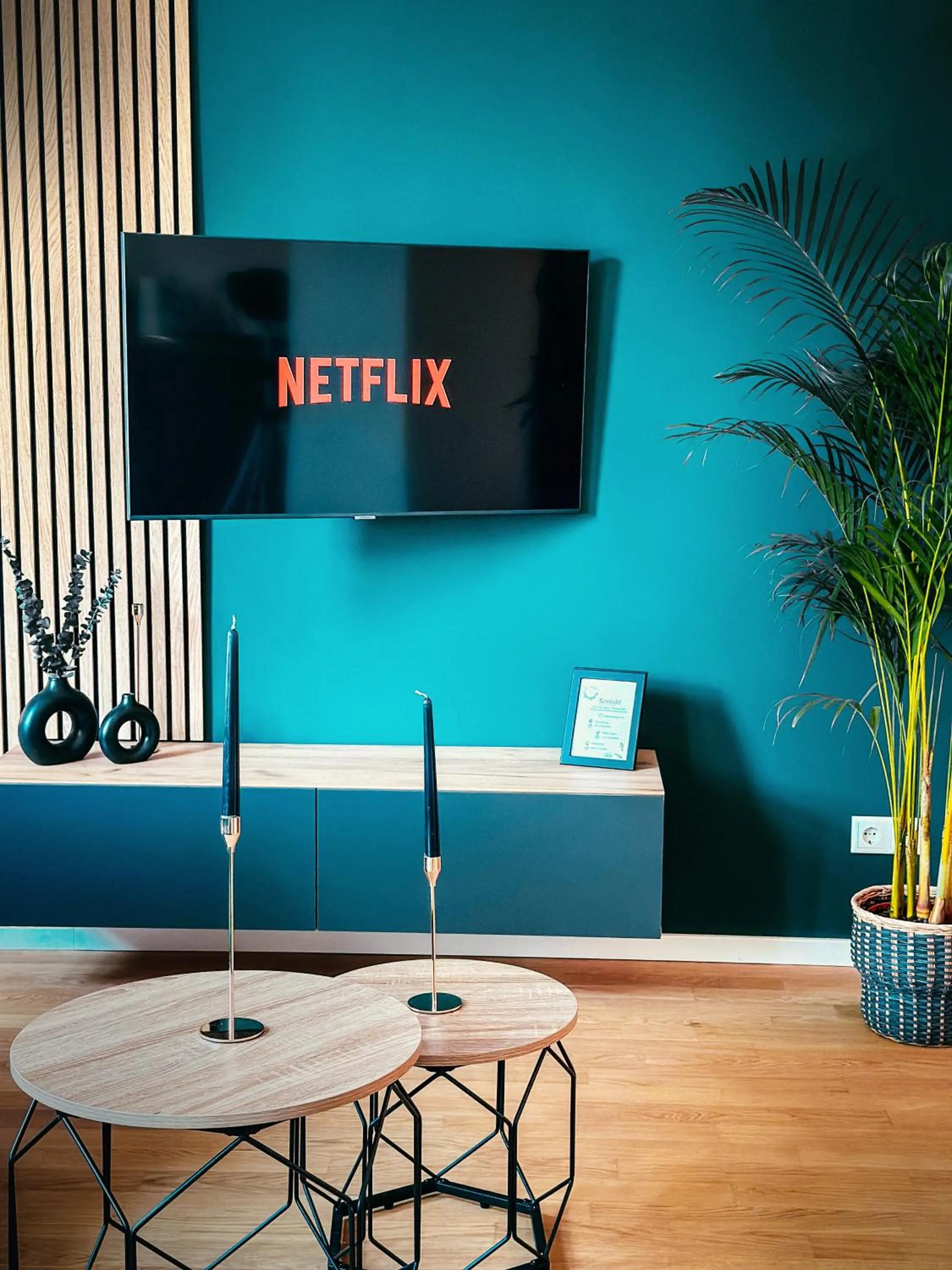TV and multimedia in Oasis Appart - Wohnen im Königspark - Elbhang Dresden - große Terrasse - Netflix - TG