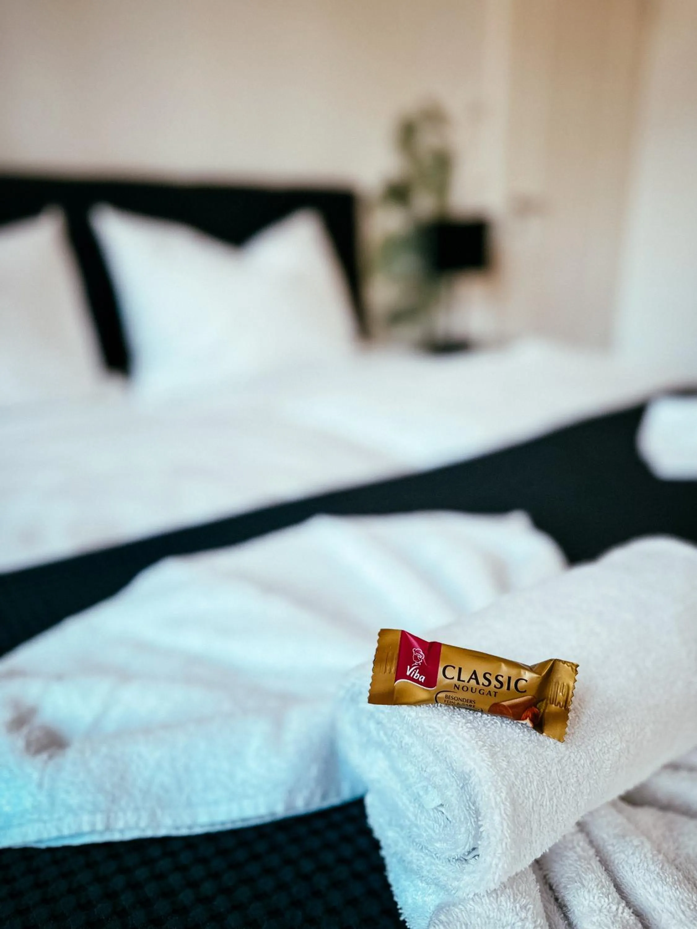 Bed in Oasis Appart - Wohnen im Königspark - Elbhang Dresden - große Terrasse - Netflix - TG