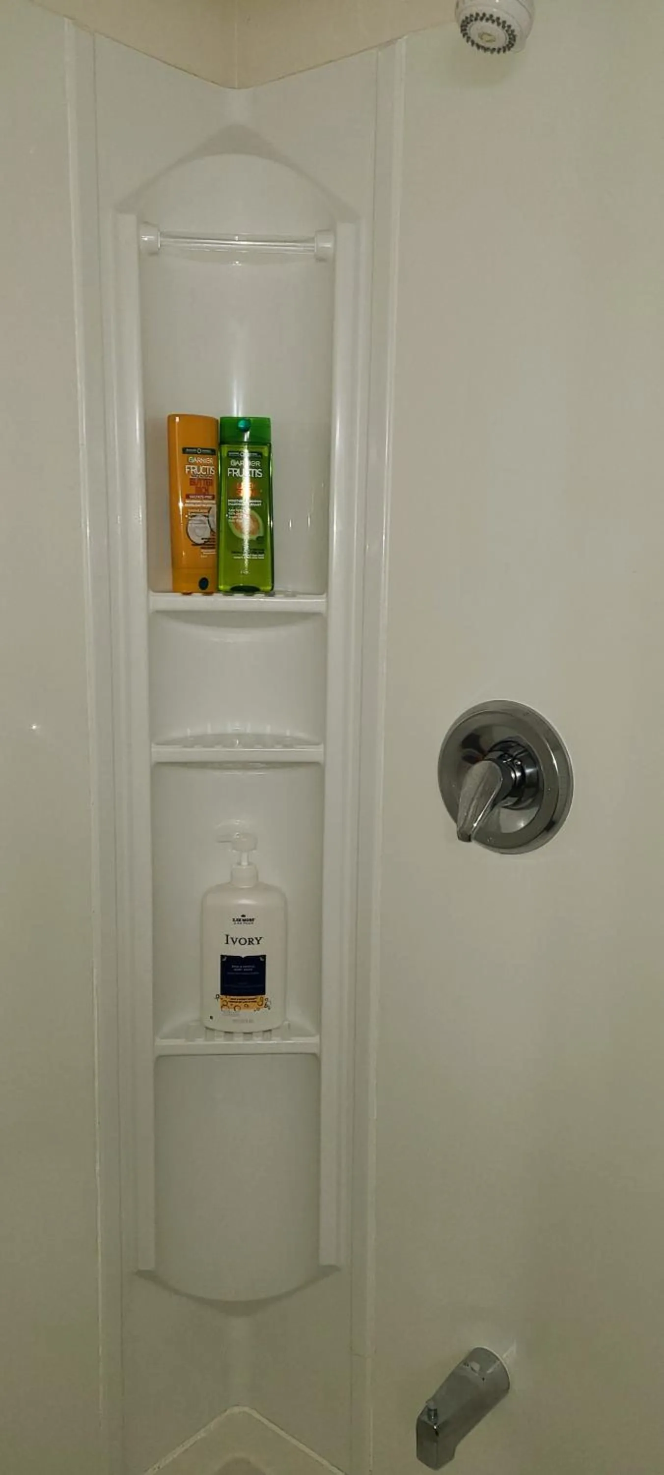 Spacious and bright unit with natural light.