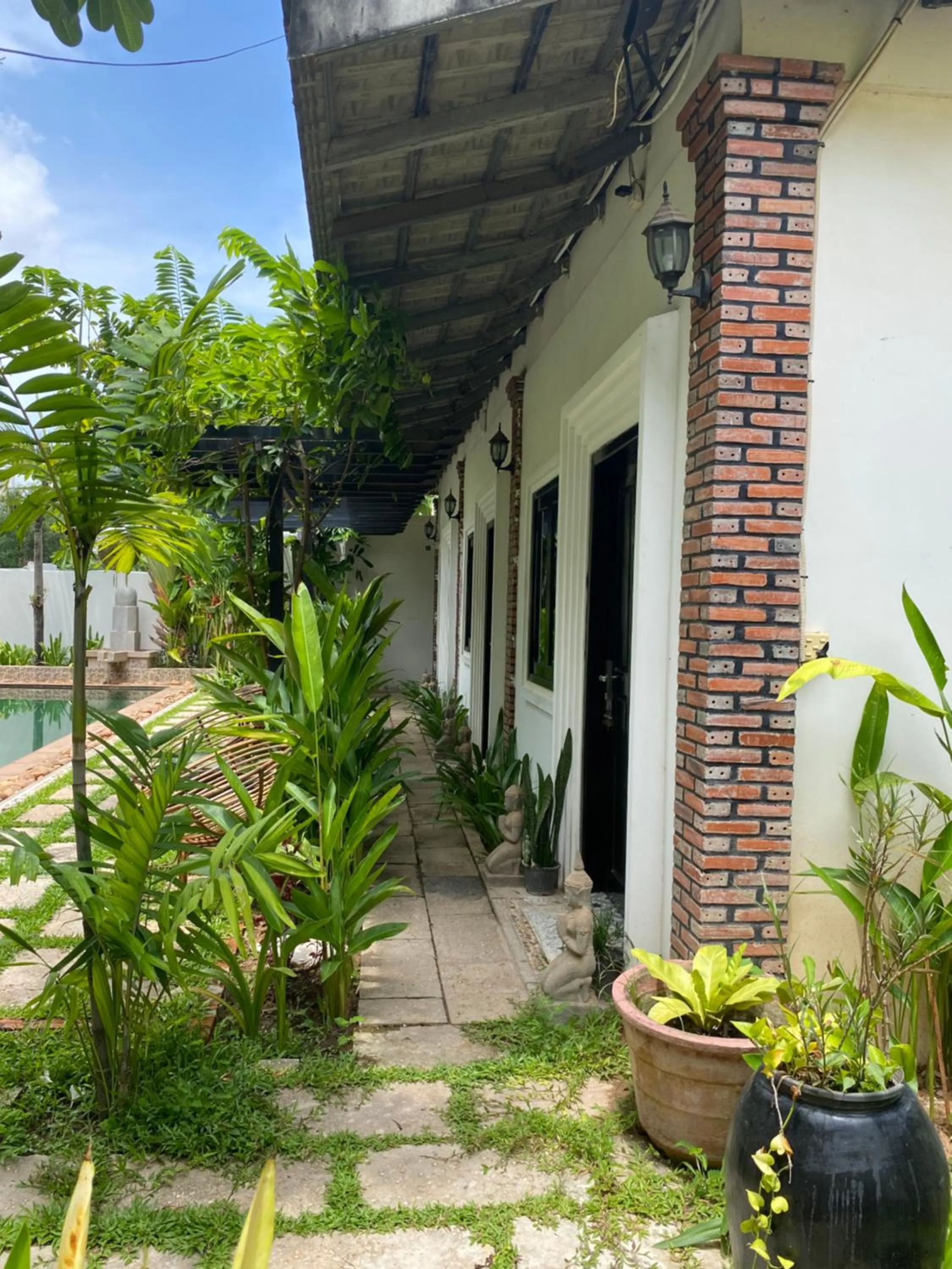 Garden in The Botanic Garden Hotel