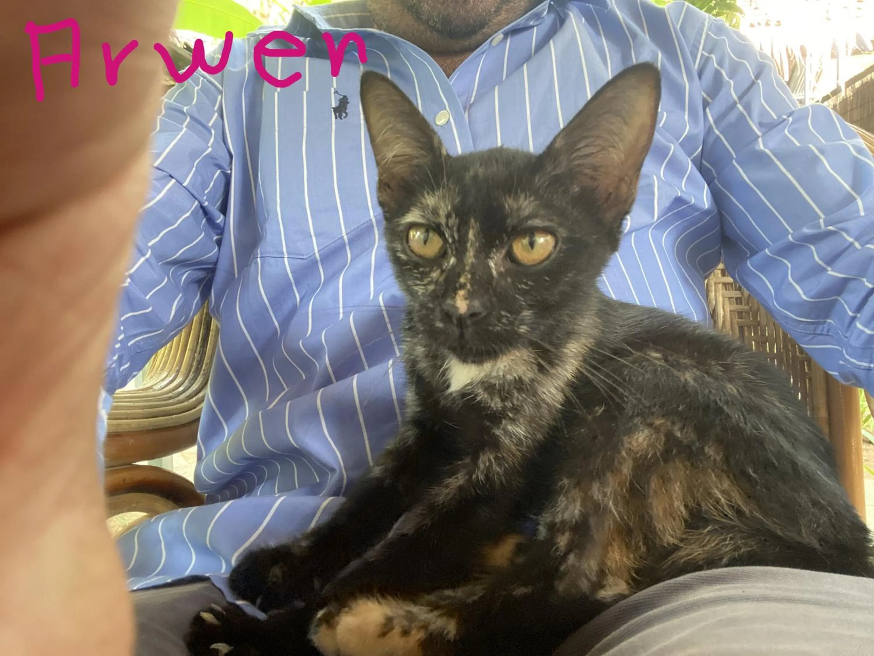 Property building in The Botanic Garden Hotel