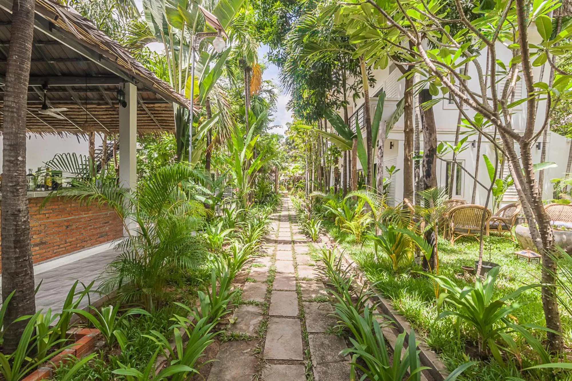 Garden in The Botanic Garden Hotel
