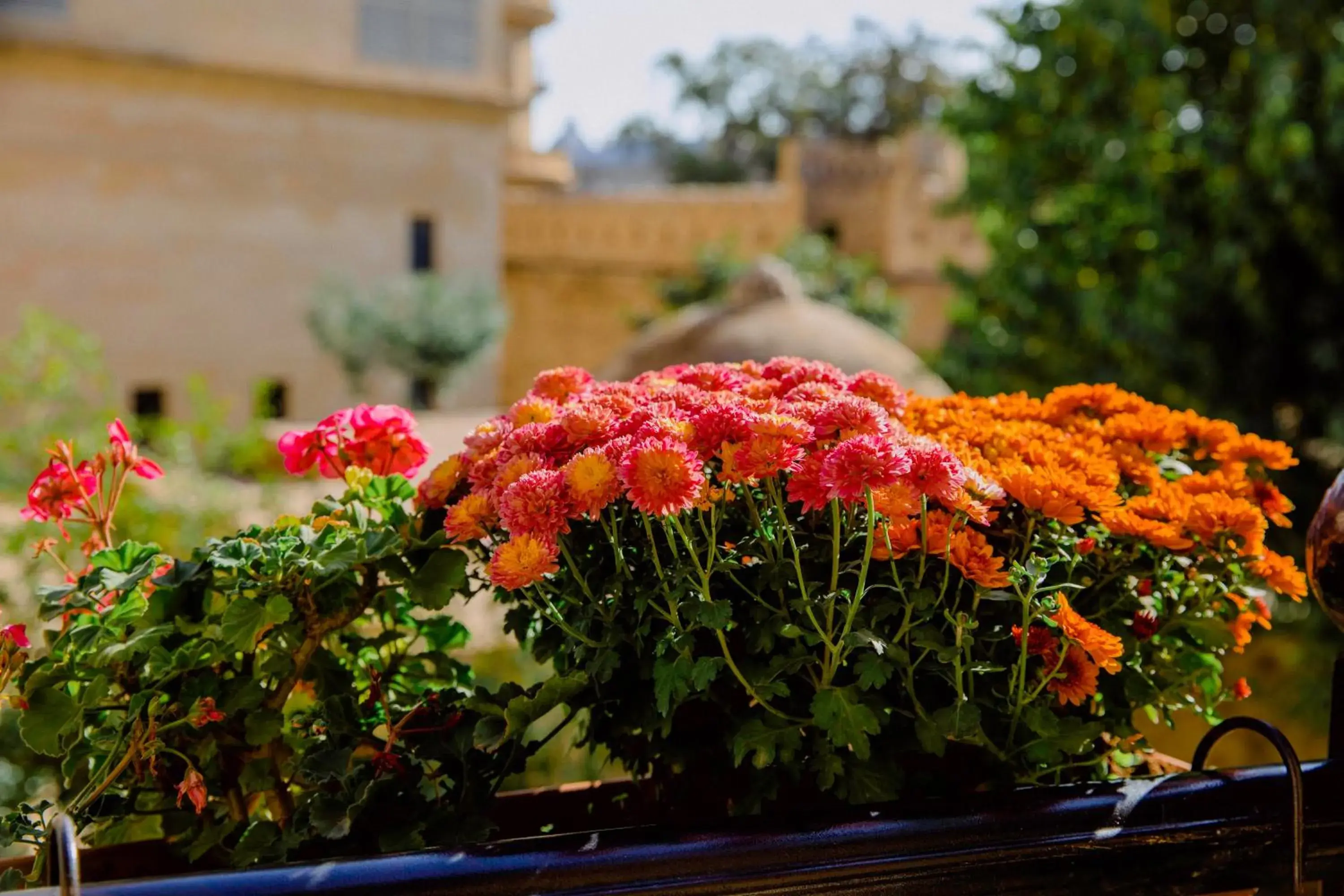 Family Room with Balcony in Royal Antique Boutique Hotel Family Room with Balcony in Royal Antique Boutique Hotel