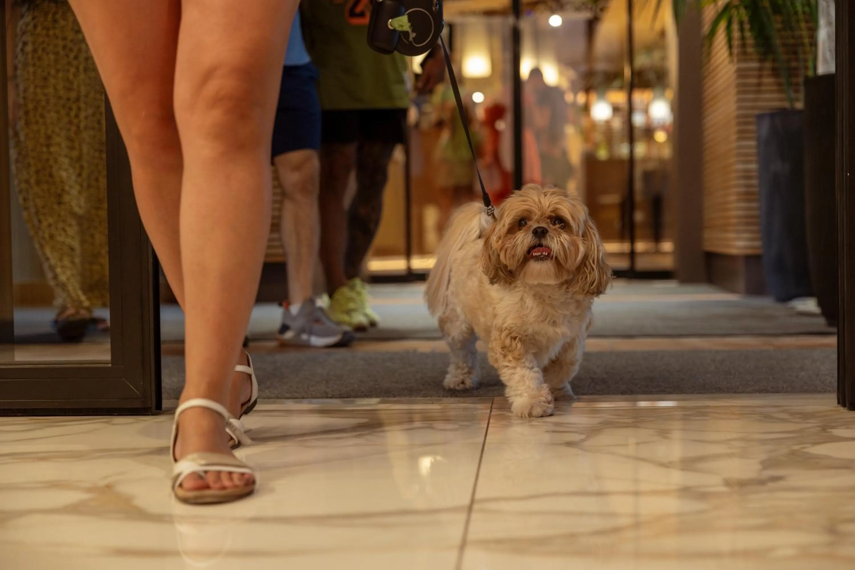 Pets in Boutique Hotel Sirmione