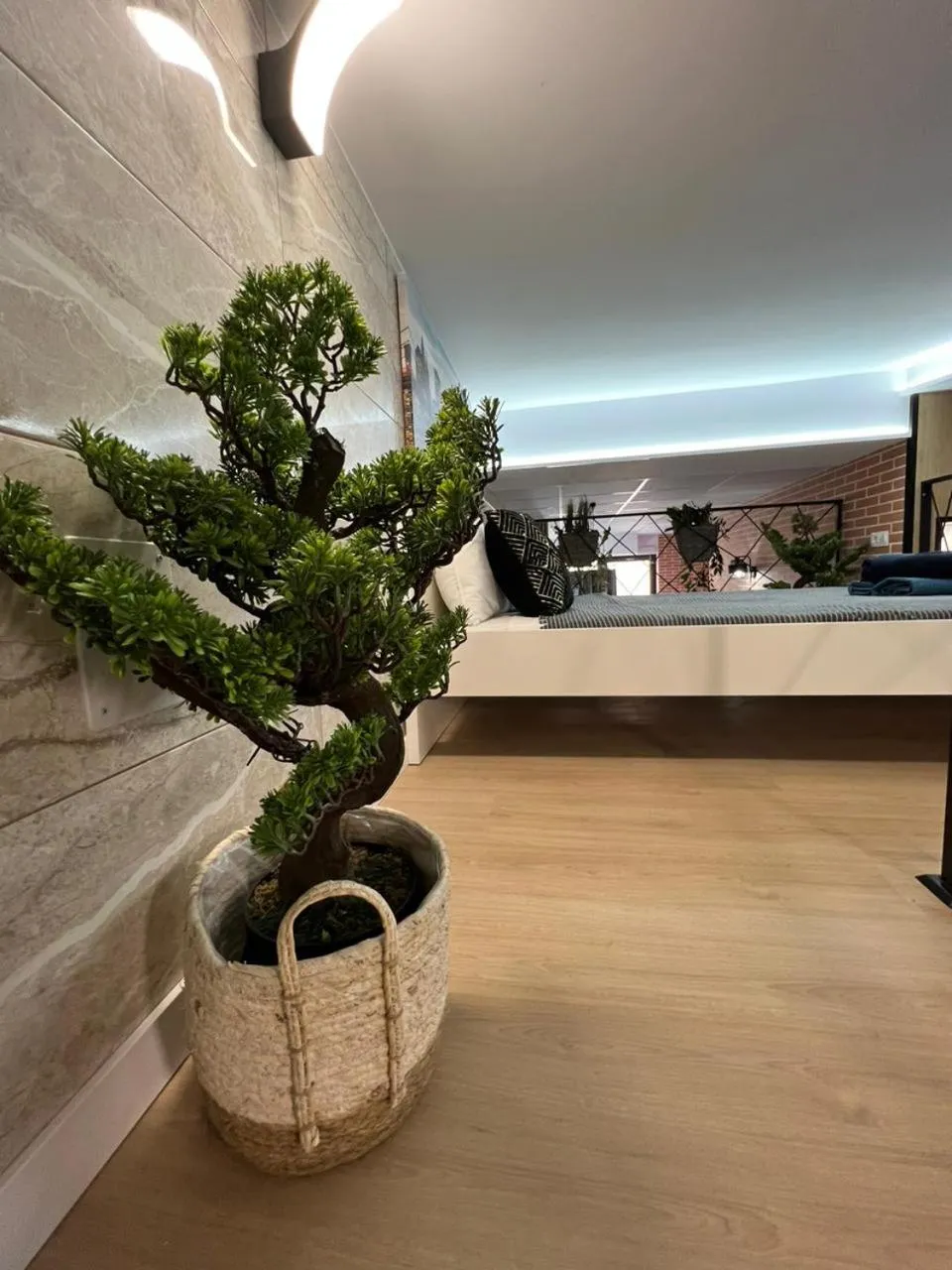 Photo of the whole room in Carcaixent 24