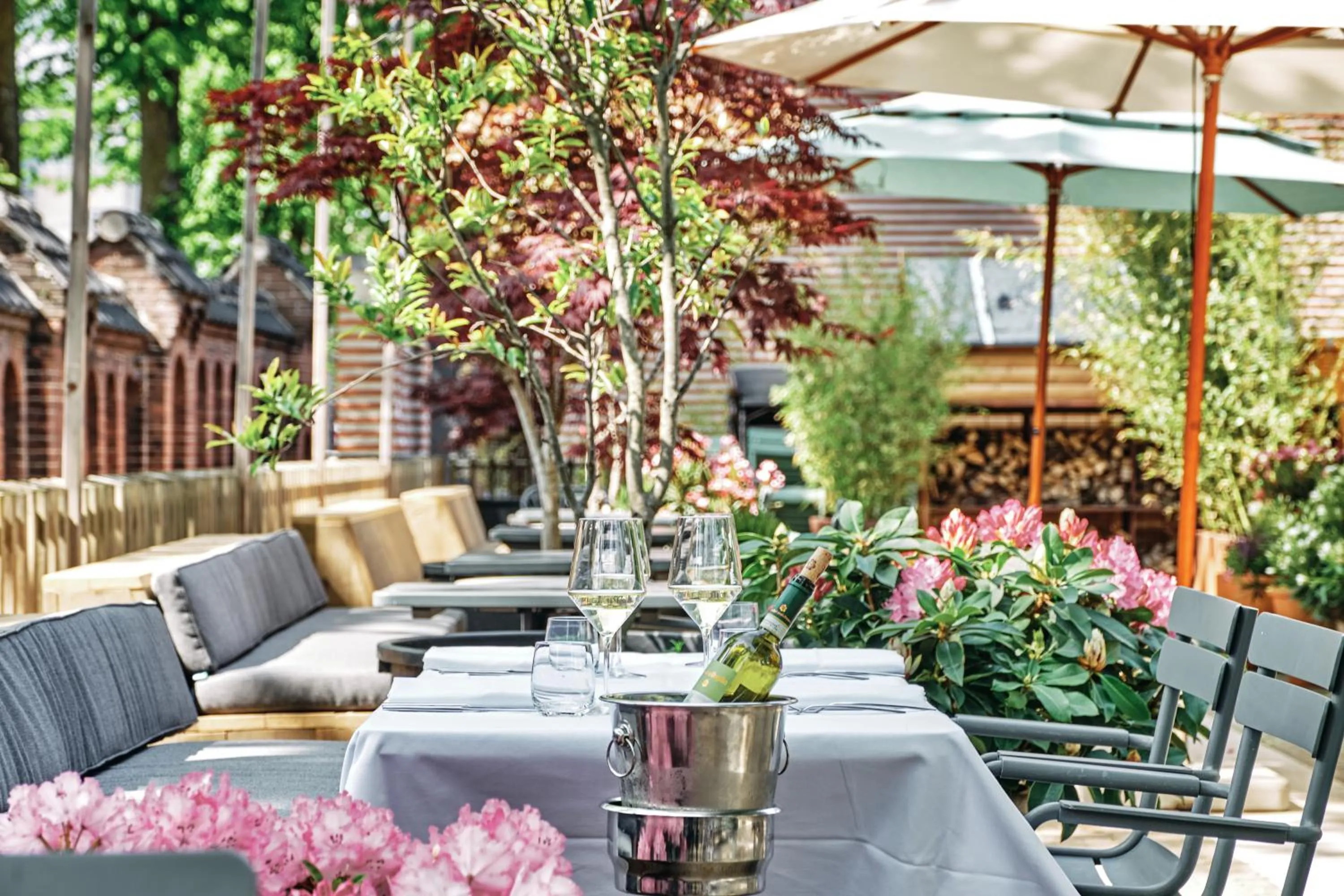 Restaurant/places to eat in Hotel Arena