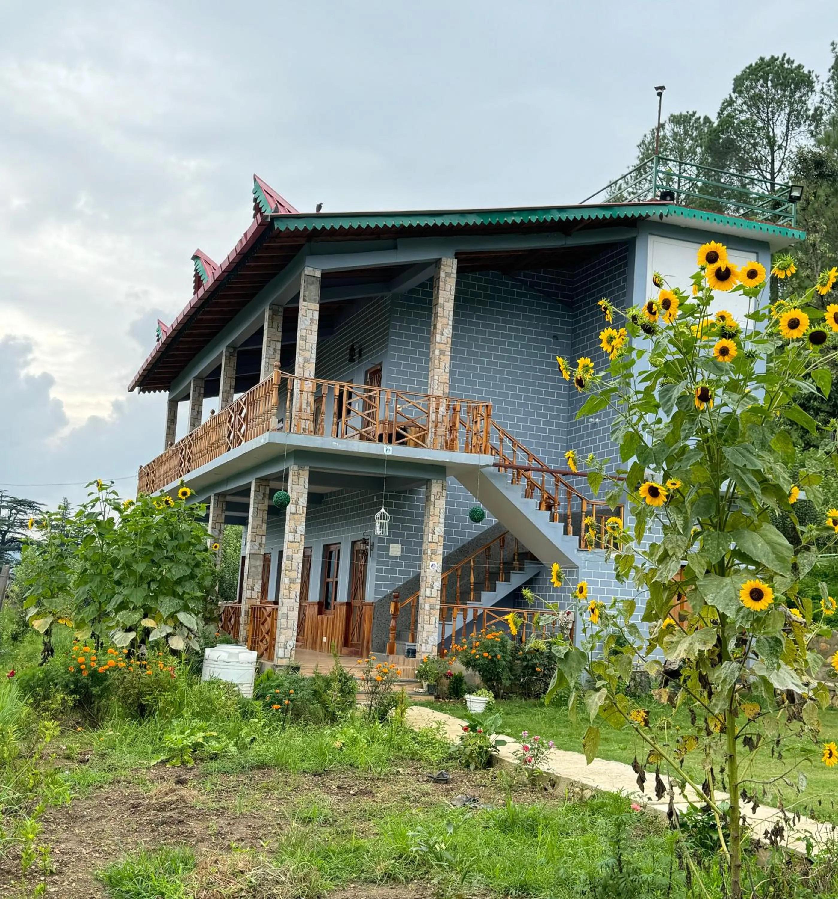 Property building in Cortland Jungle Resort