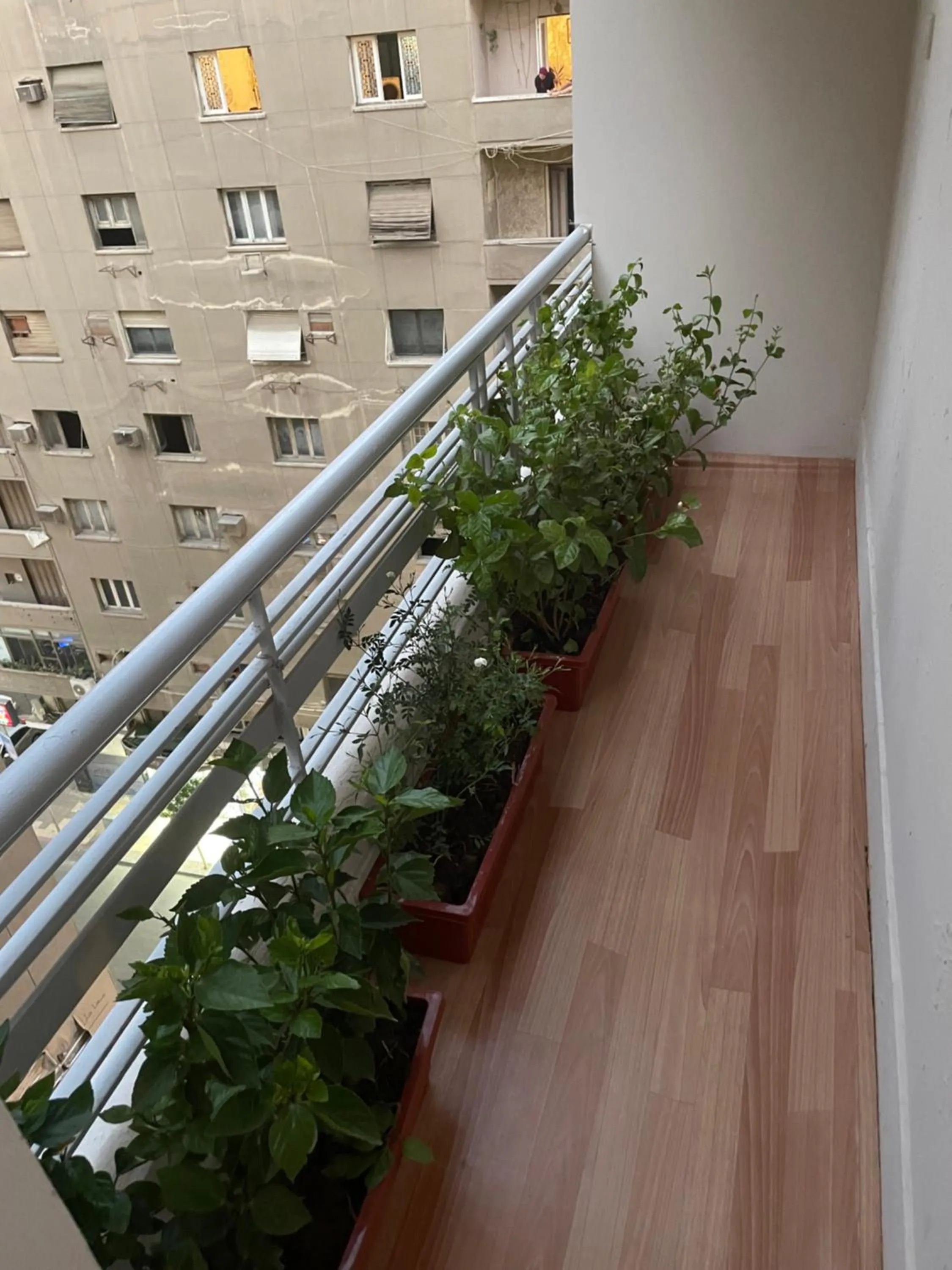 Balcony/Terrace in Central Cairo Hotel