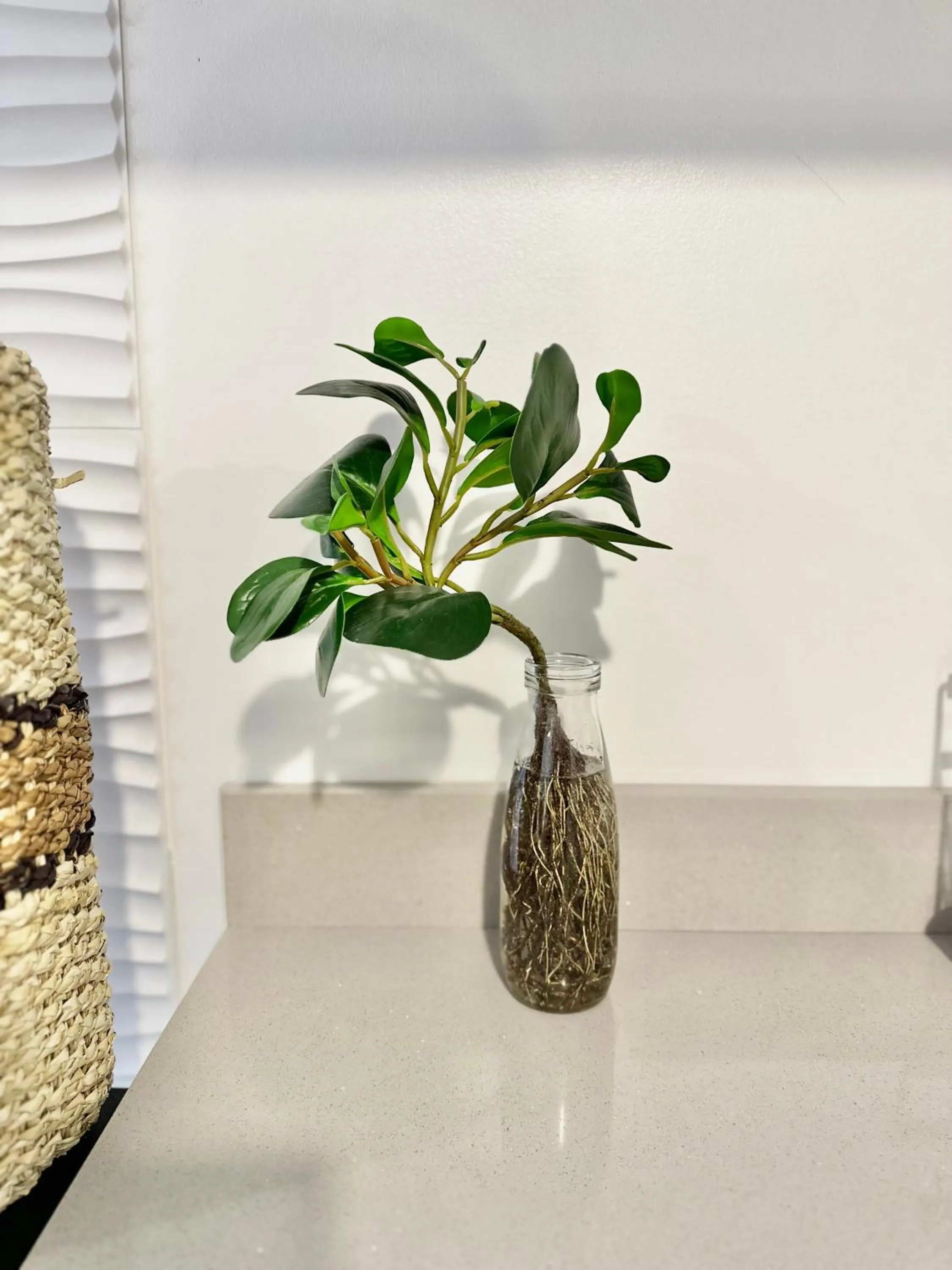 Scandinavian 1 BR beside SM CDO w POOL and Netflix