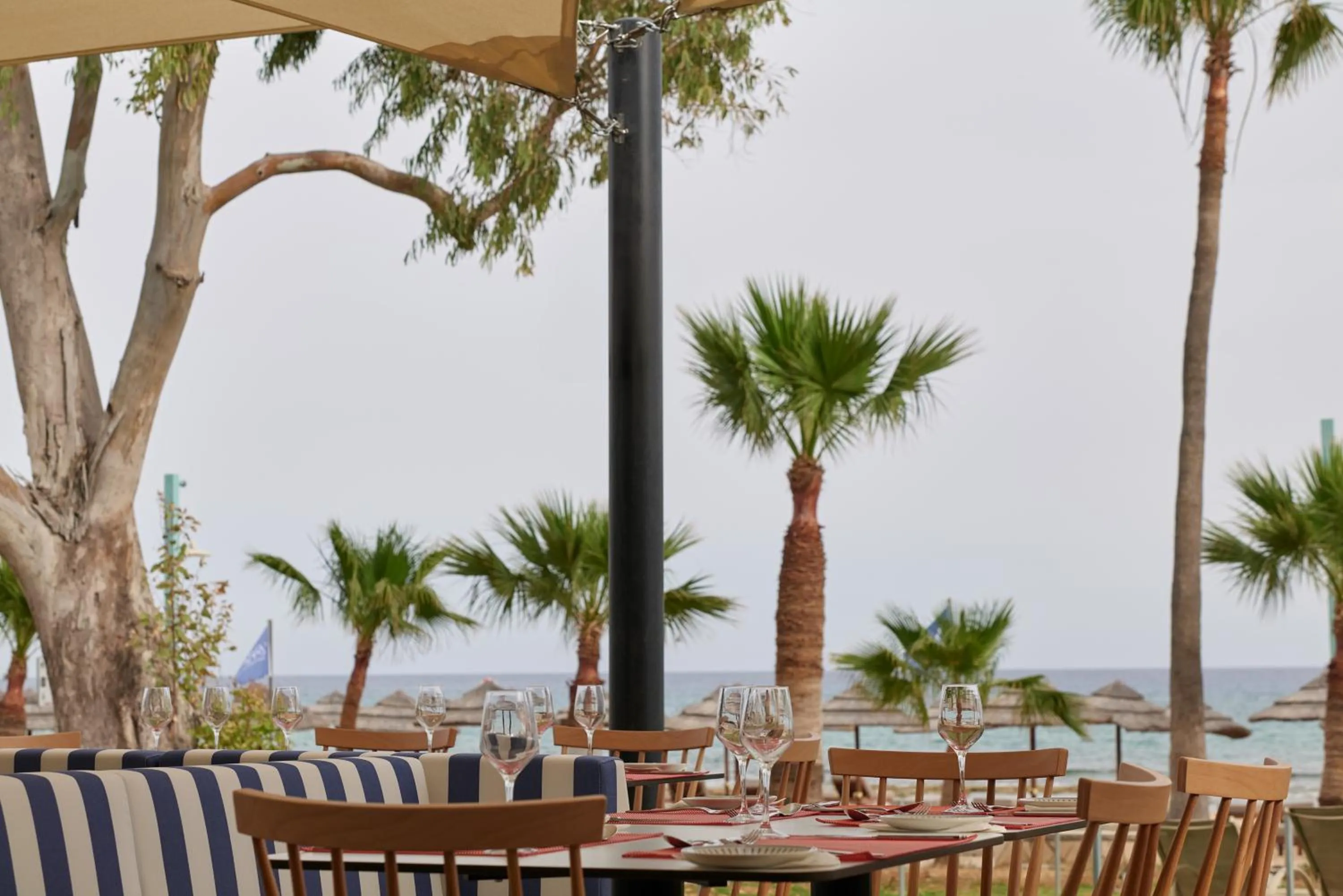 Restaurant/places to eat in Atlantica Callisto