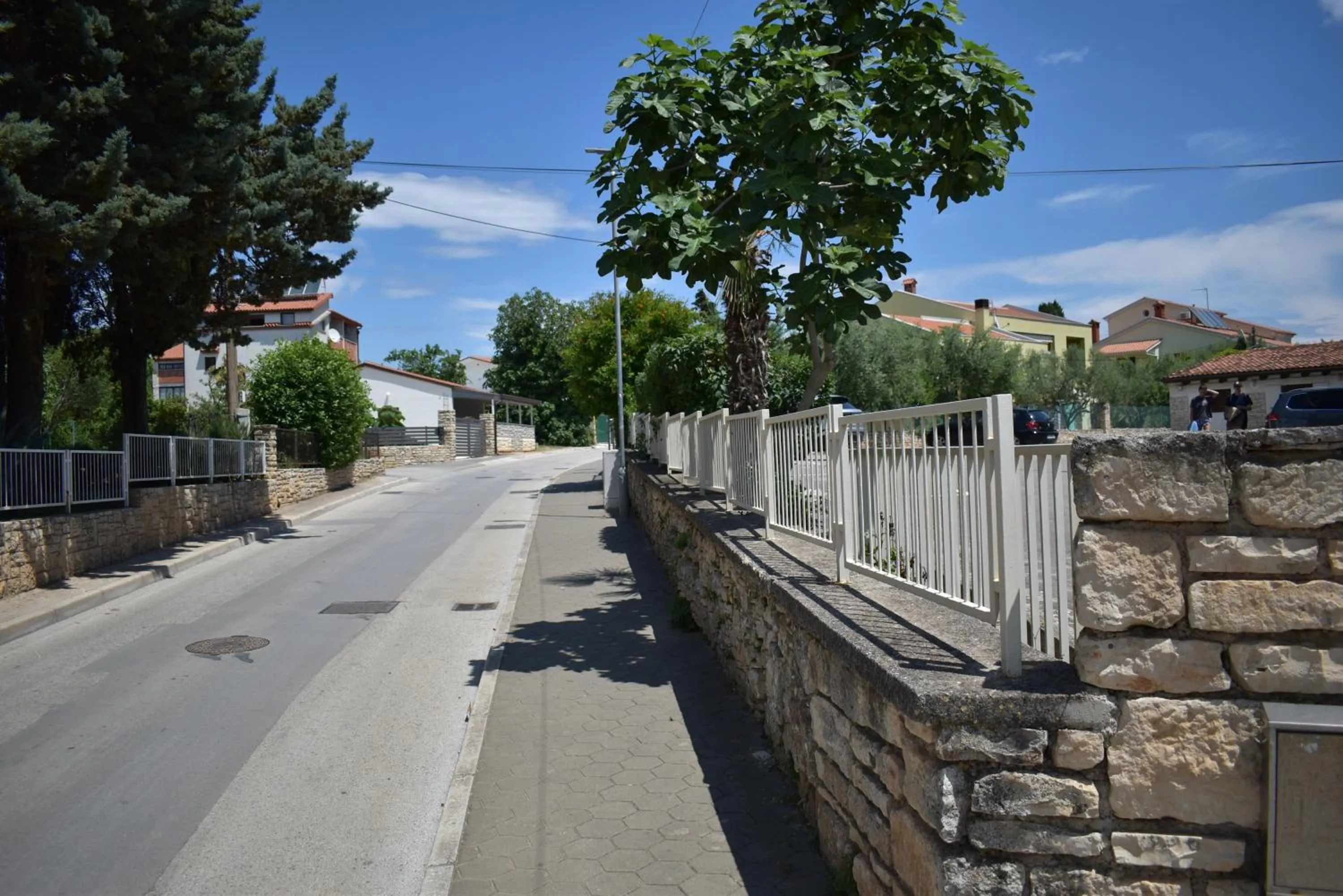 Day in Minerva Hotel