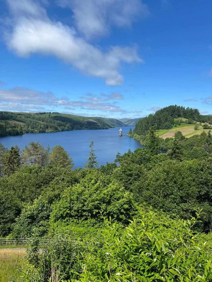 View (from property/room) in Lake Vyrnwy Hotel & Spa