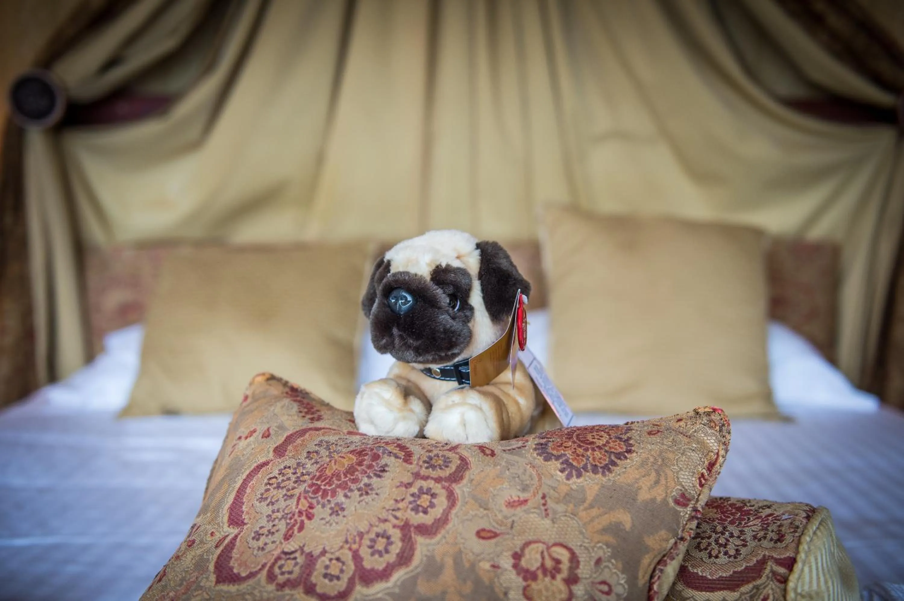 Lake Vyrnwy Hotel & Spa