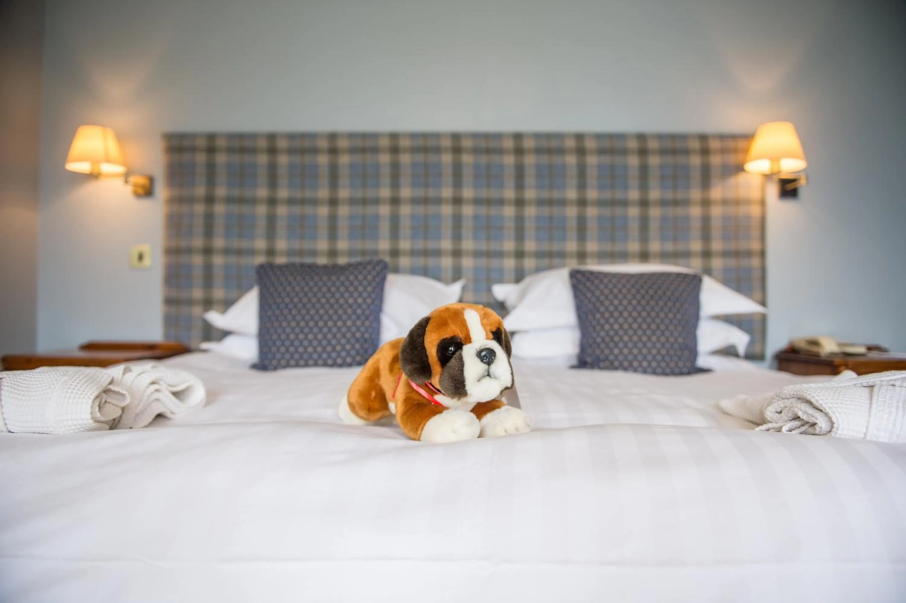 Bed in Lake Vyrnwy Hotel & Spa