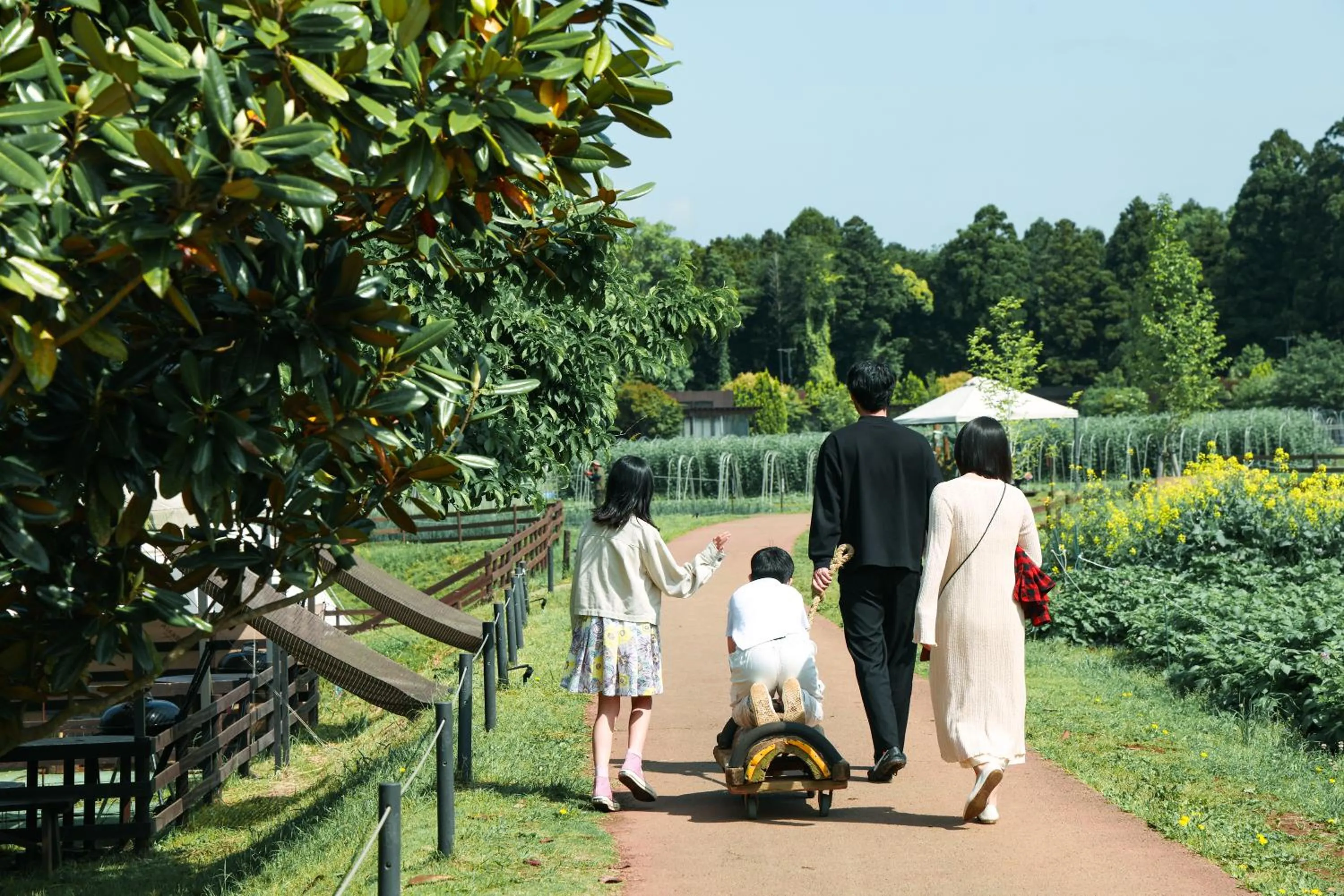 Spring in THE FARM Resort Japan