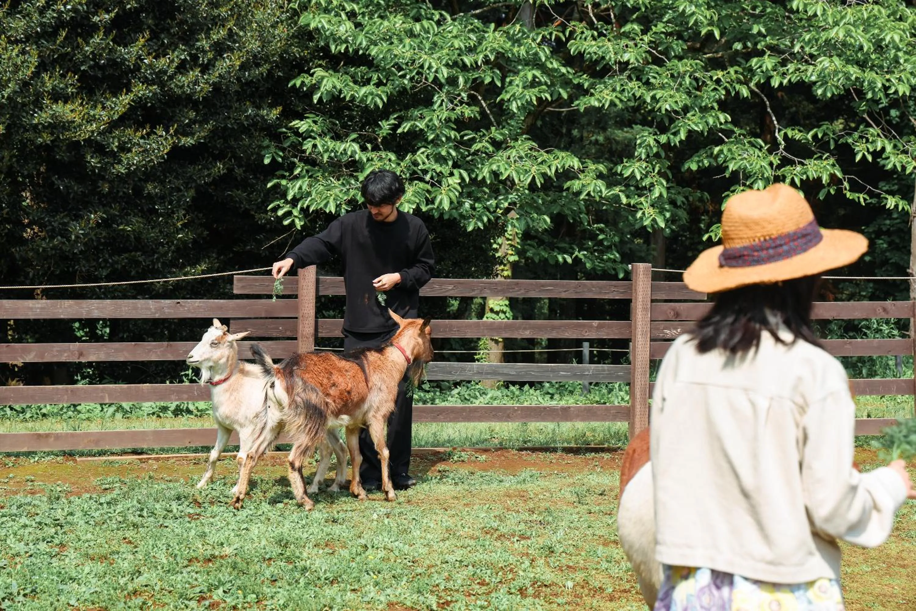 Day in THE FARM Resort Japan