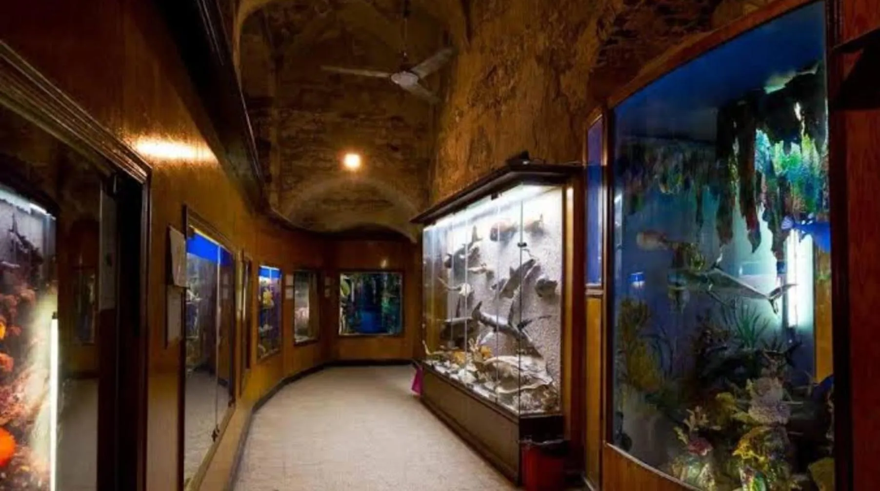 Nearby landmark in KENZY Apartment