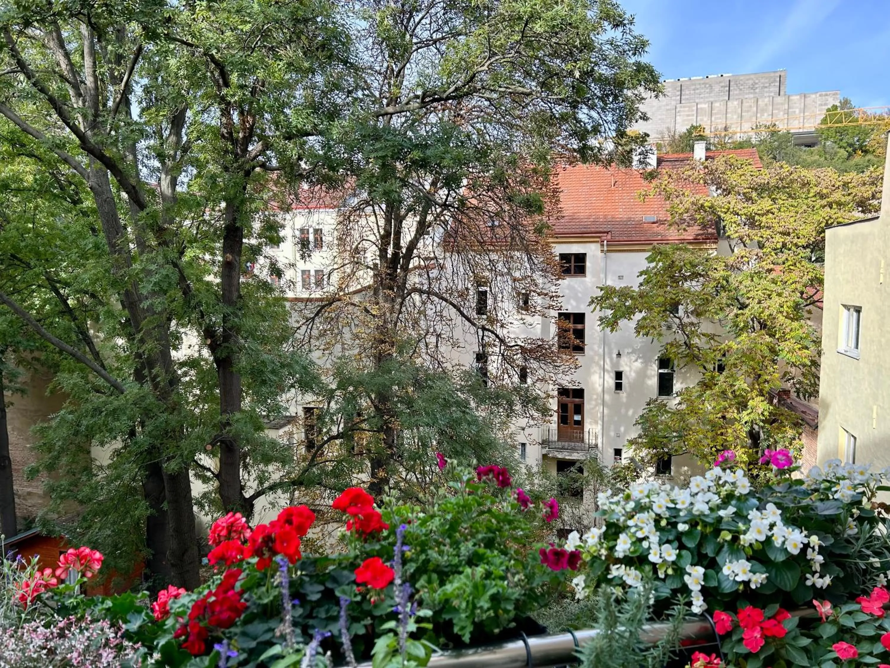 Day in Green balcony & king size bed