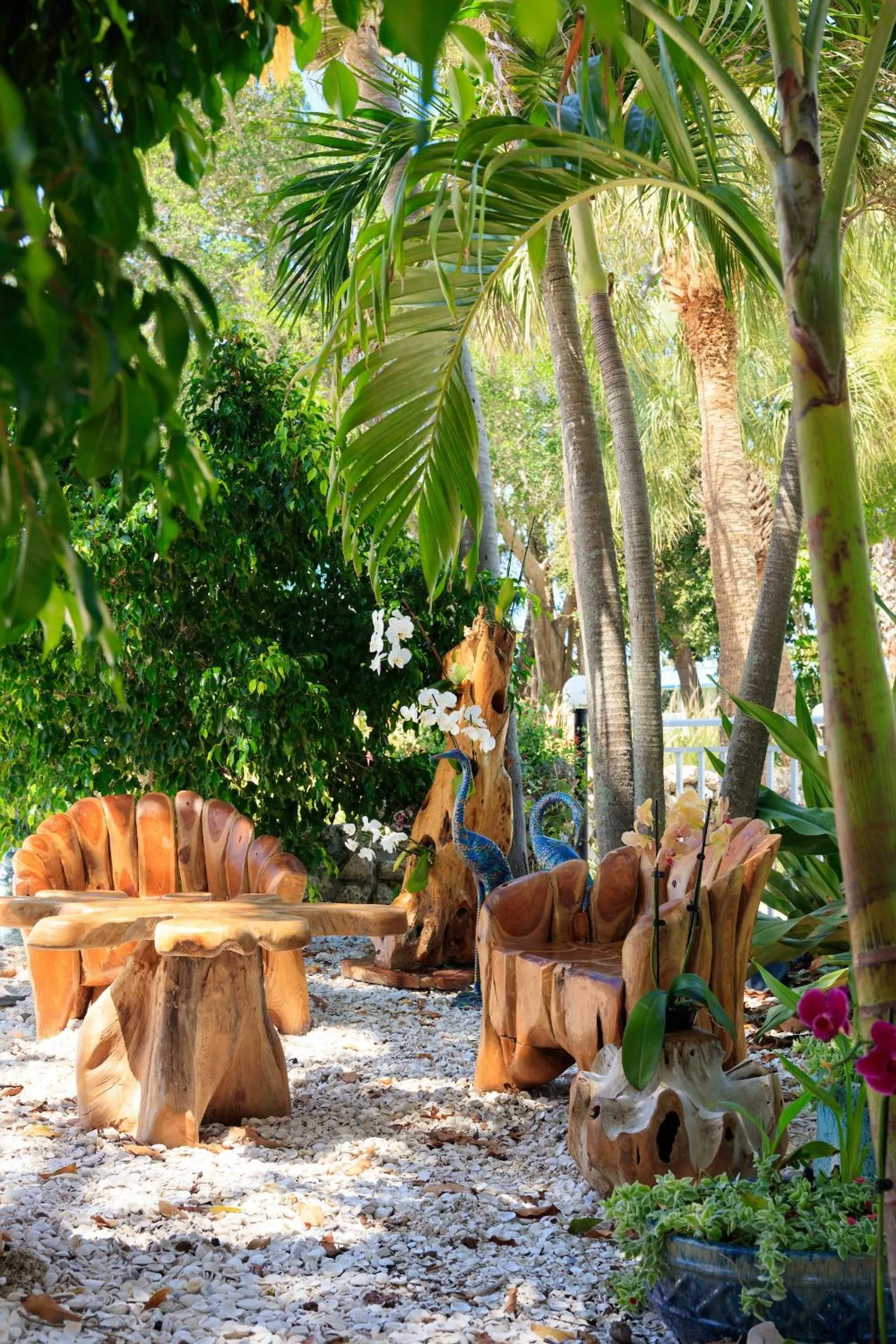 Garden in SkyBeach Resort