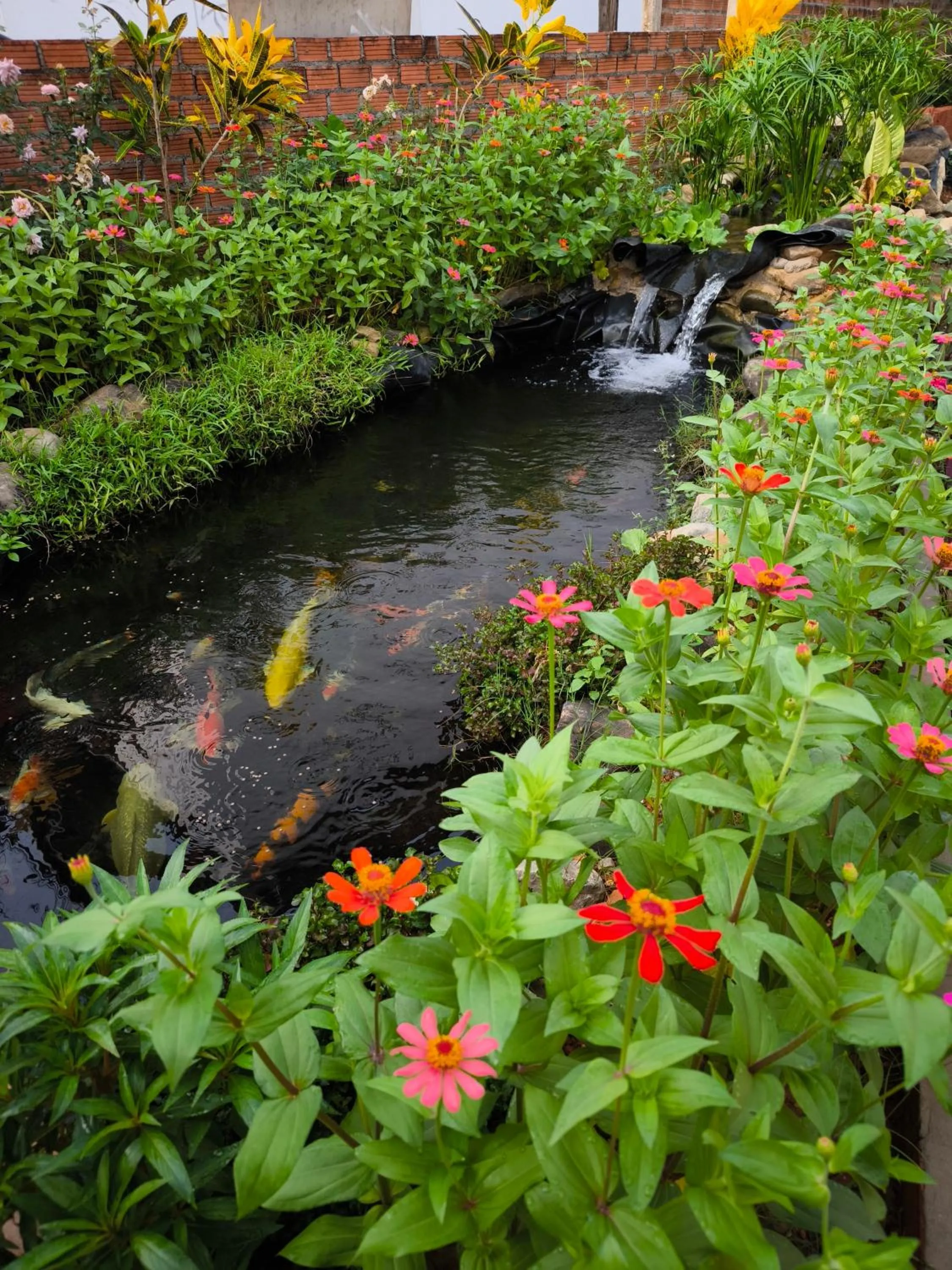 Vang Vieng Champa Resort