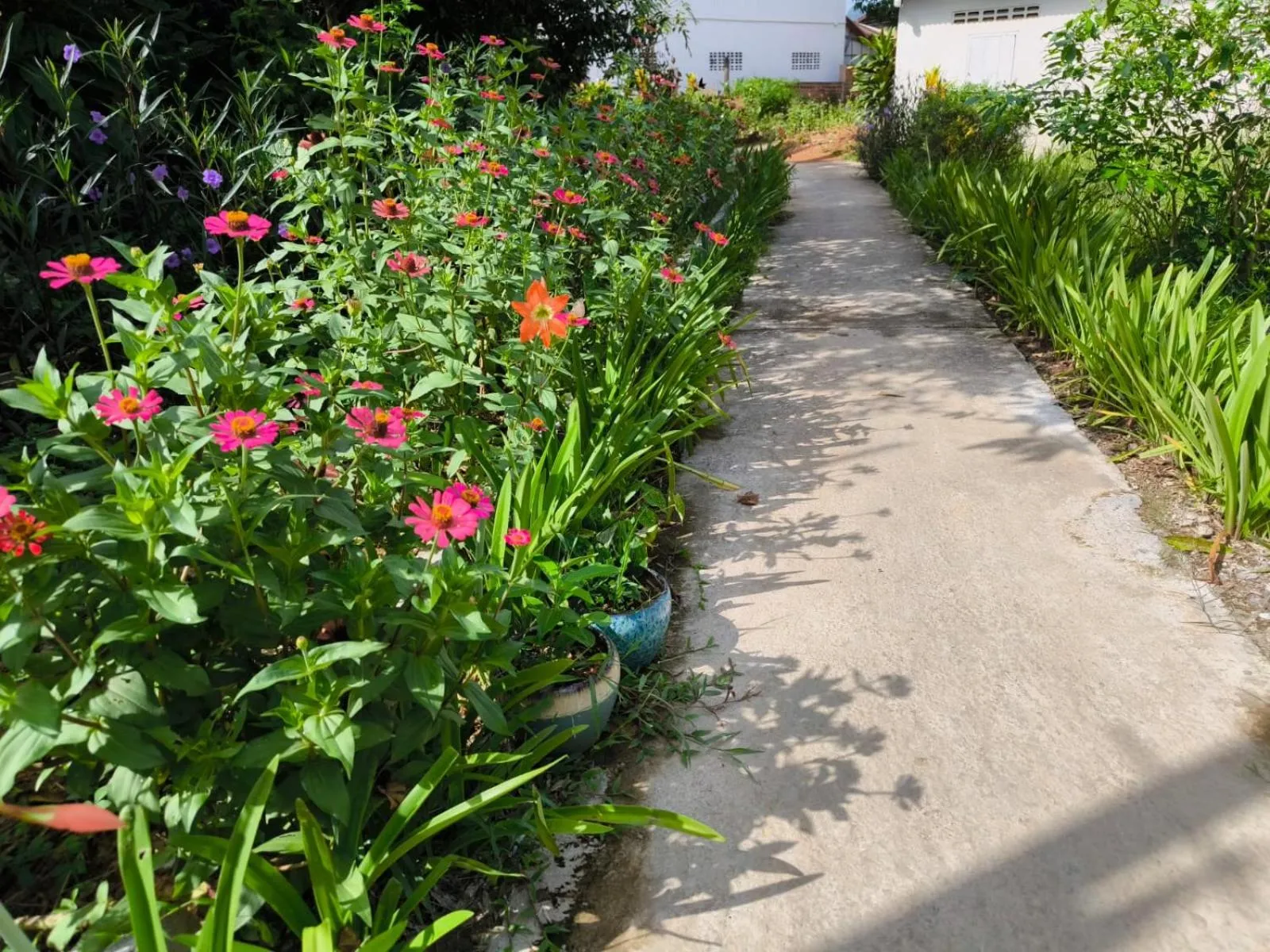 Vang Vieng Champa Resort