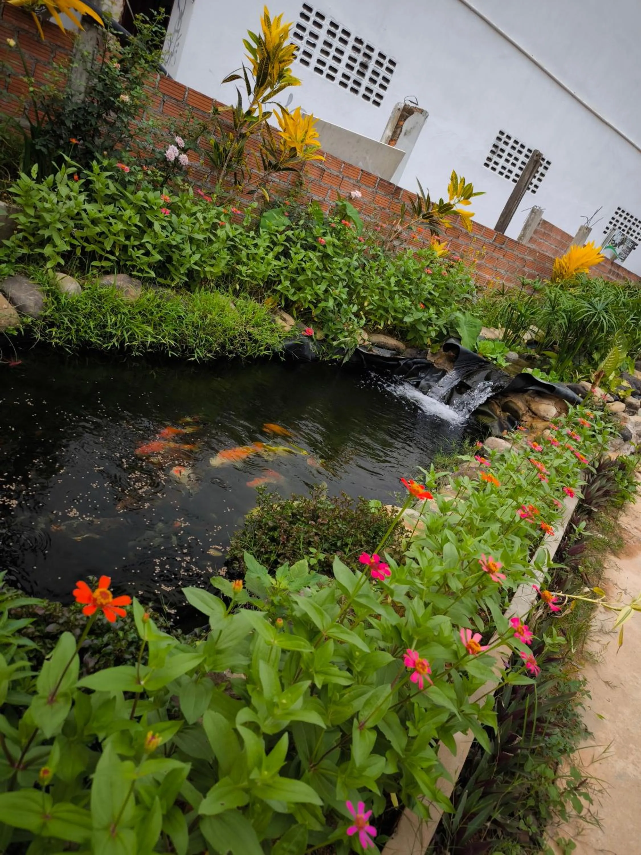 Garden in Vang Vieng Champa Resort