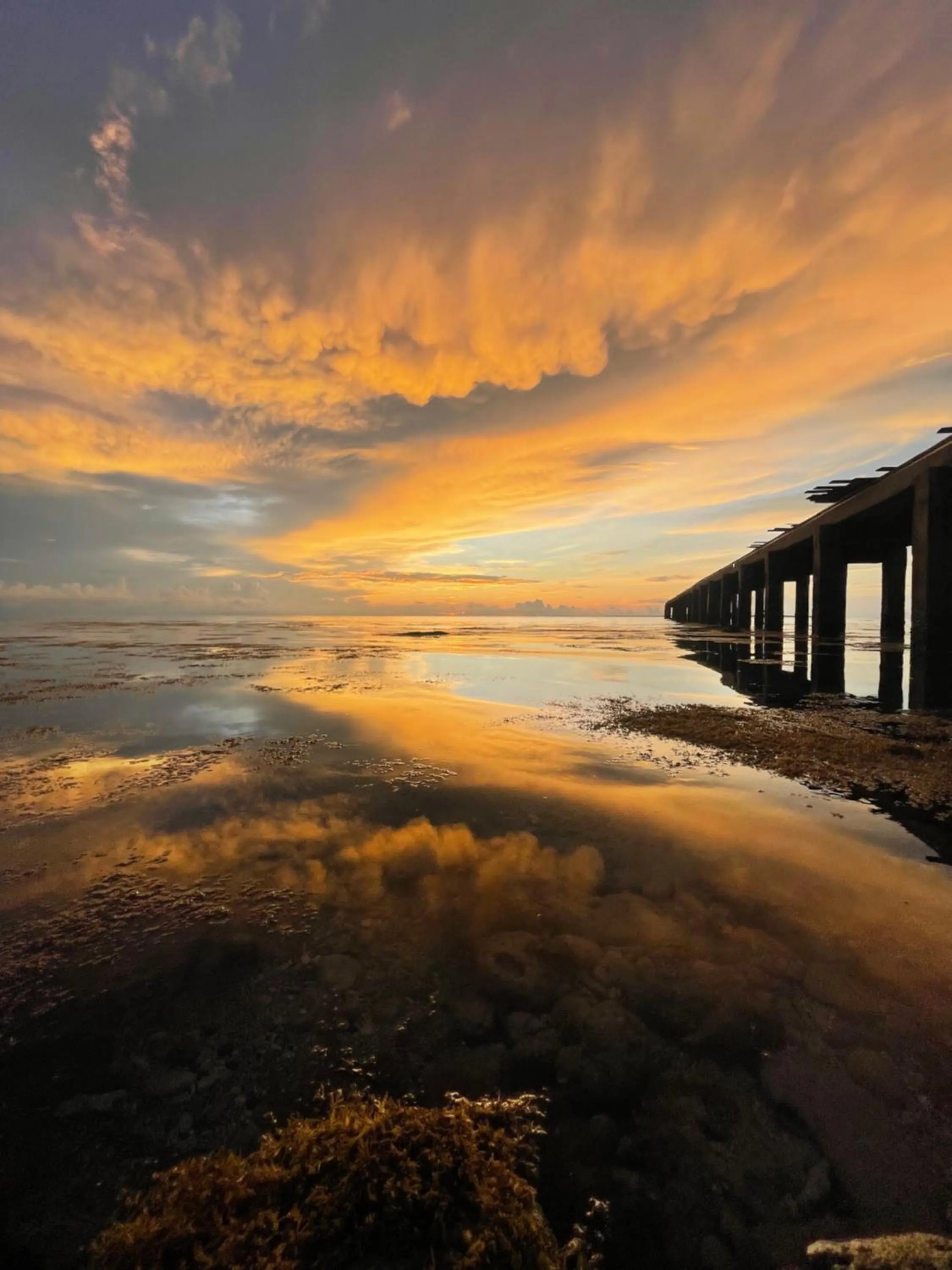 Sea view in Blue EmOcean Dive Resort