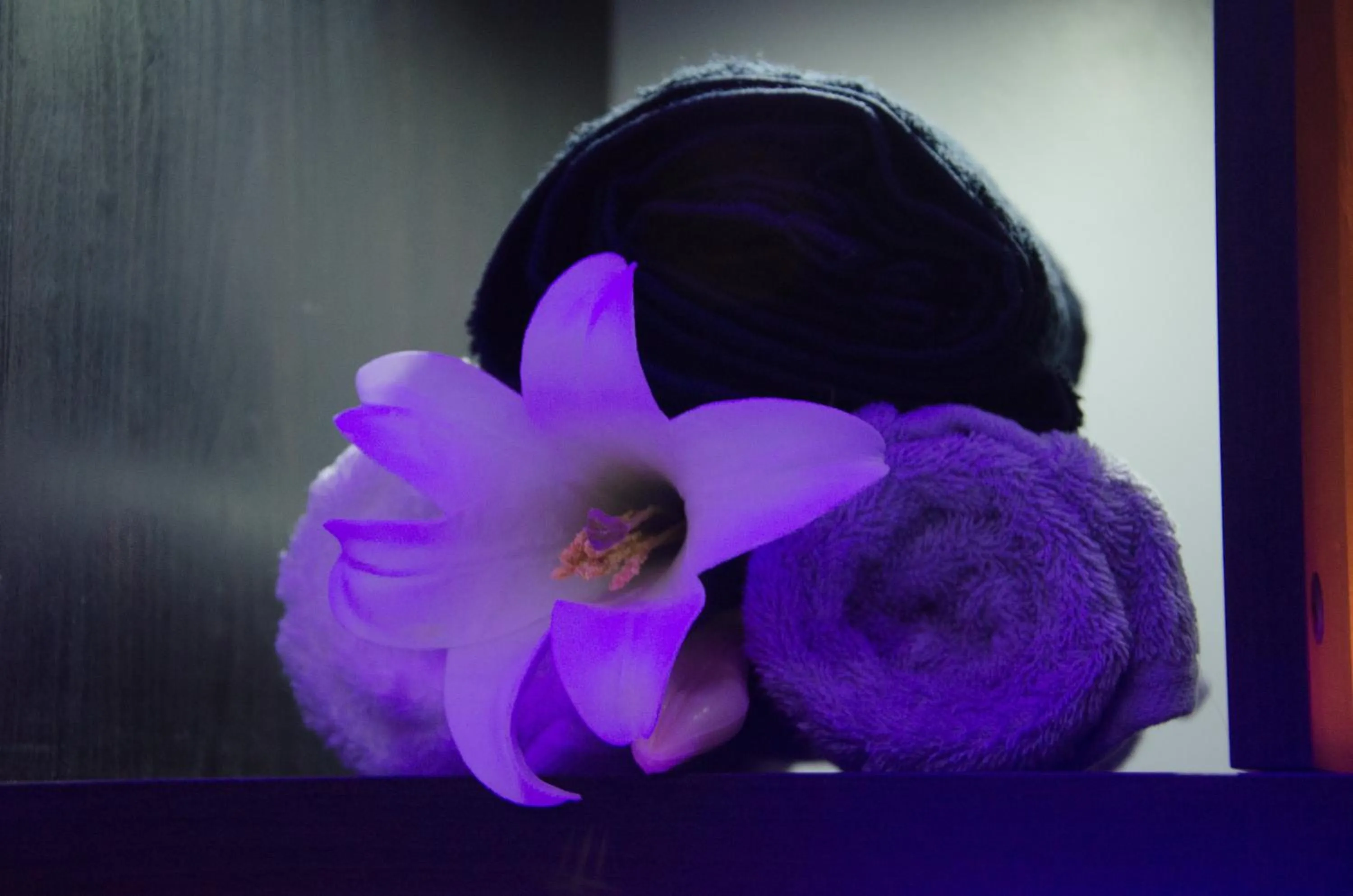 Spa and wellness centre/facilities in Holiday Inn Newcastle Gosforth Park by IHG