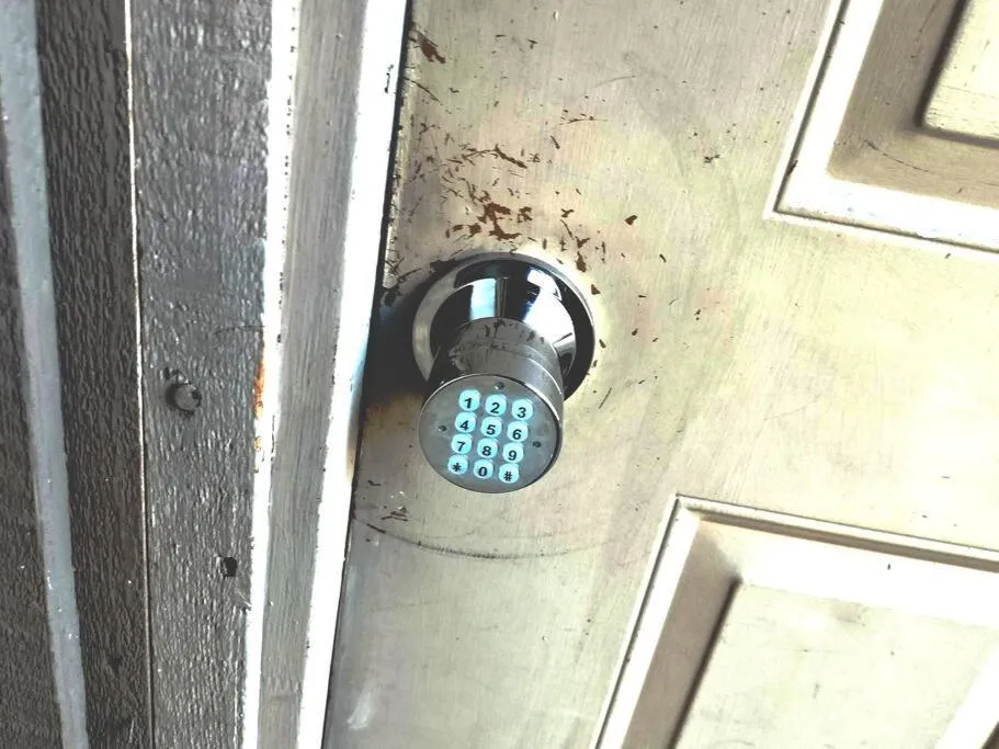 Golden Sunflower's Apt D