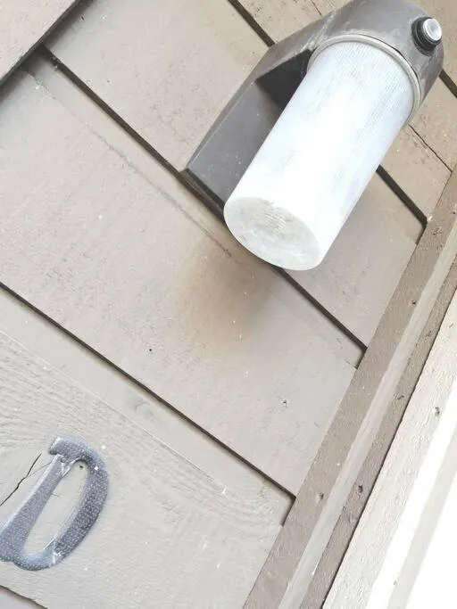 Golden Sunflower's Apt D