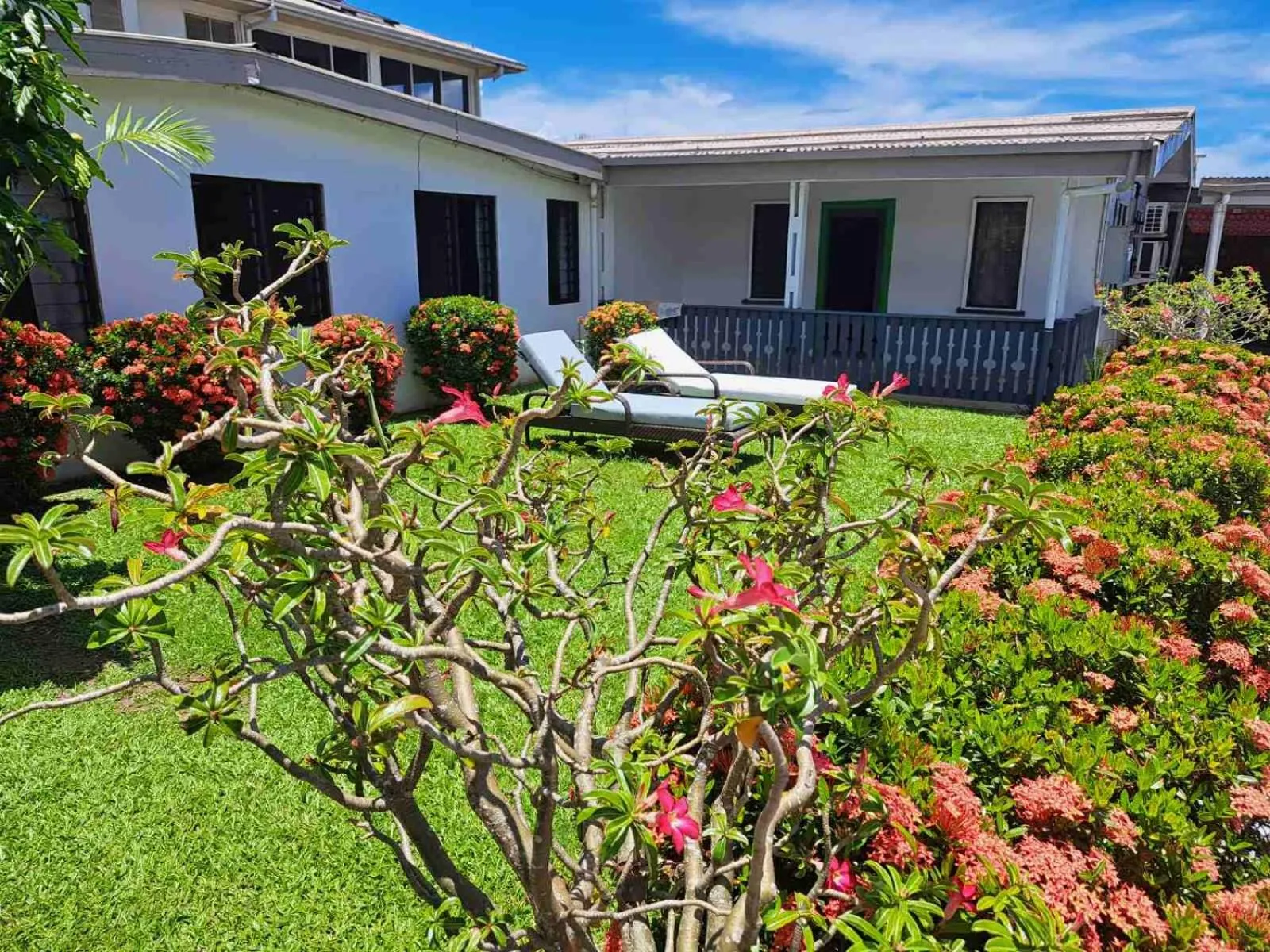 Garden view in The Ideal Bed & Breakfast