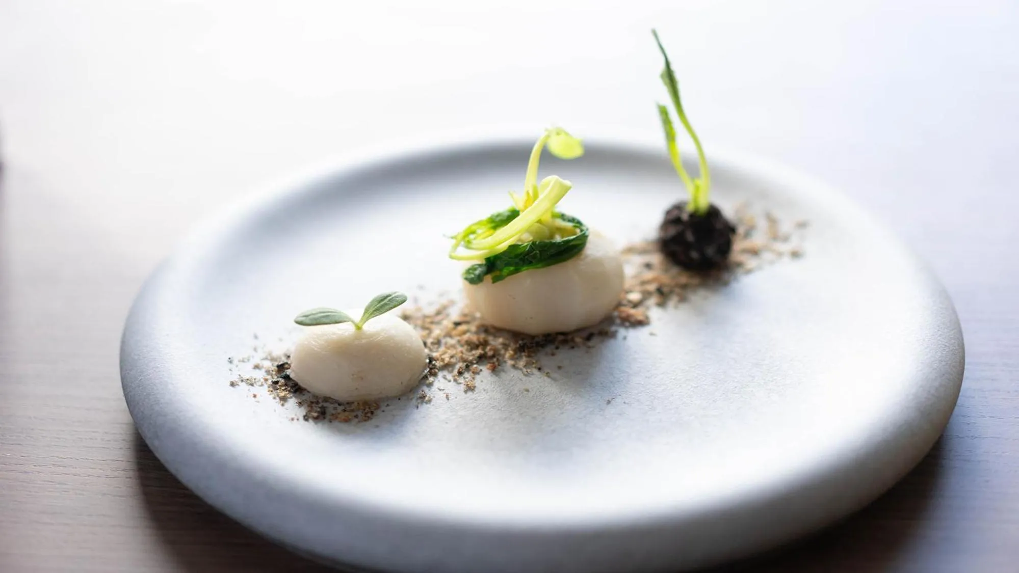 Dinner in Sengokubara COCON