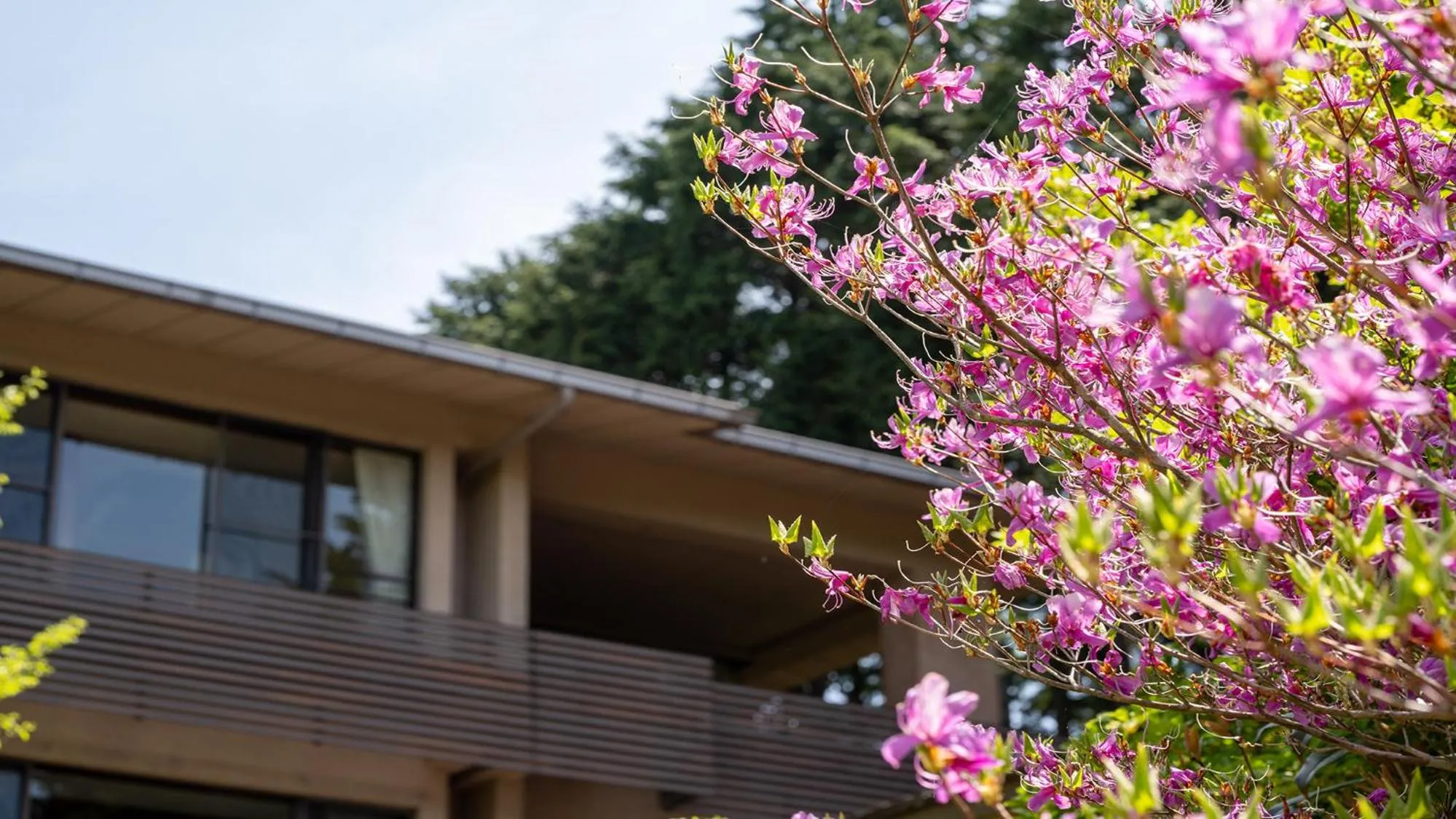 Property building in Sengokubara COCON