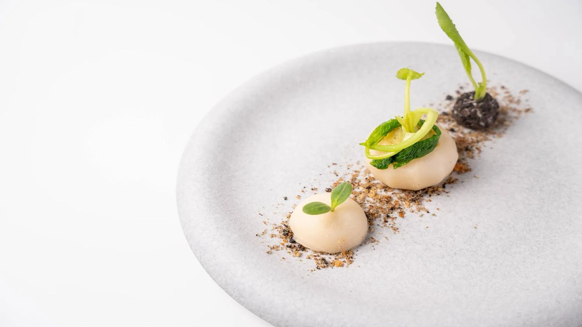 Dinner in Sengokubara COCON