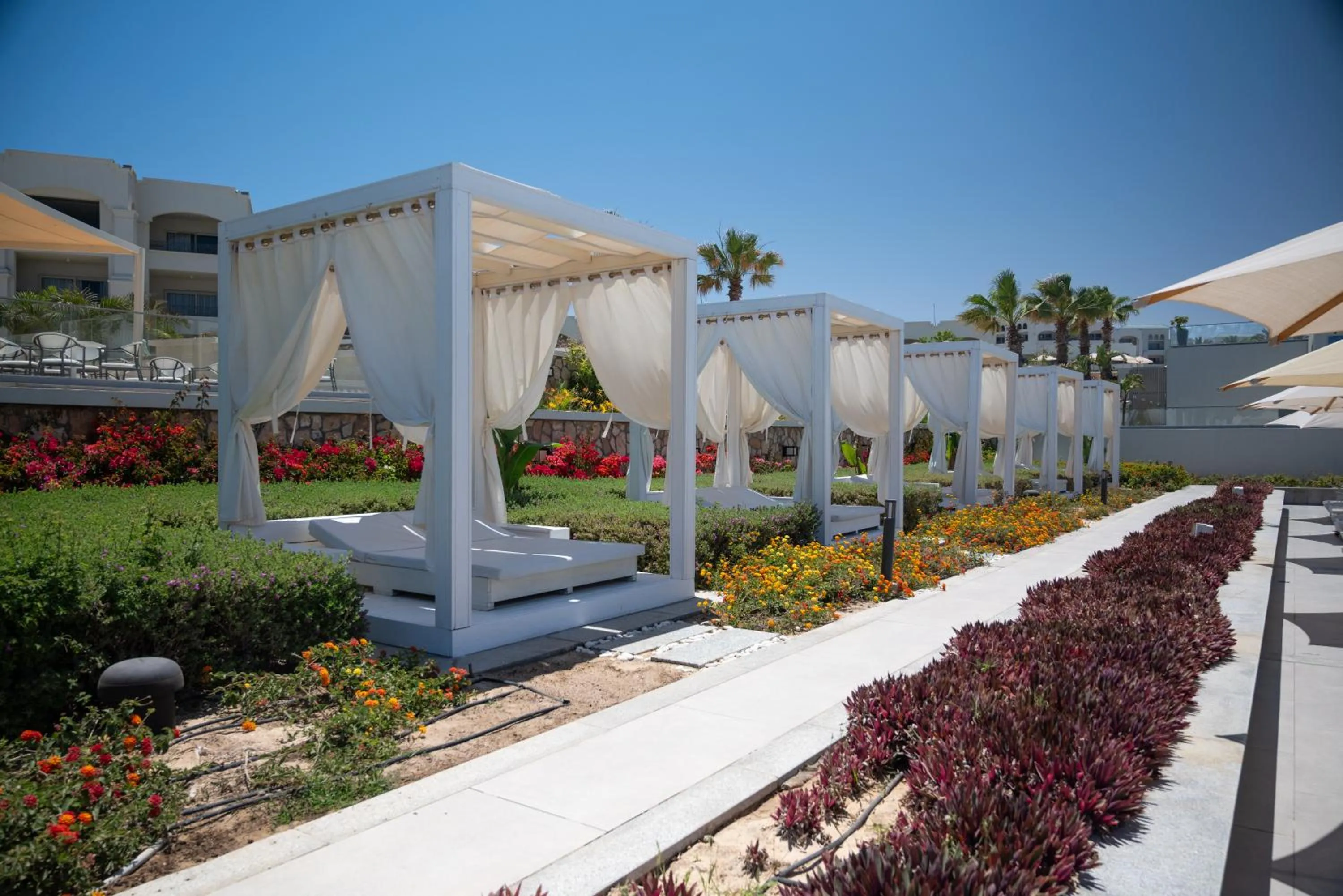 Day in Cleopatra Sidi Heneish