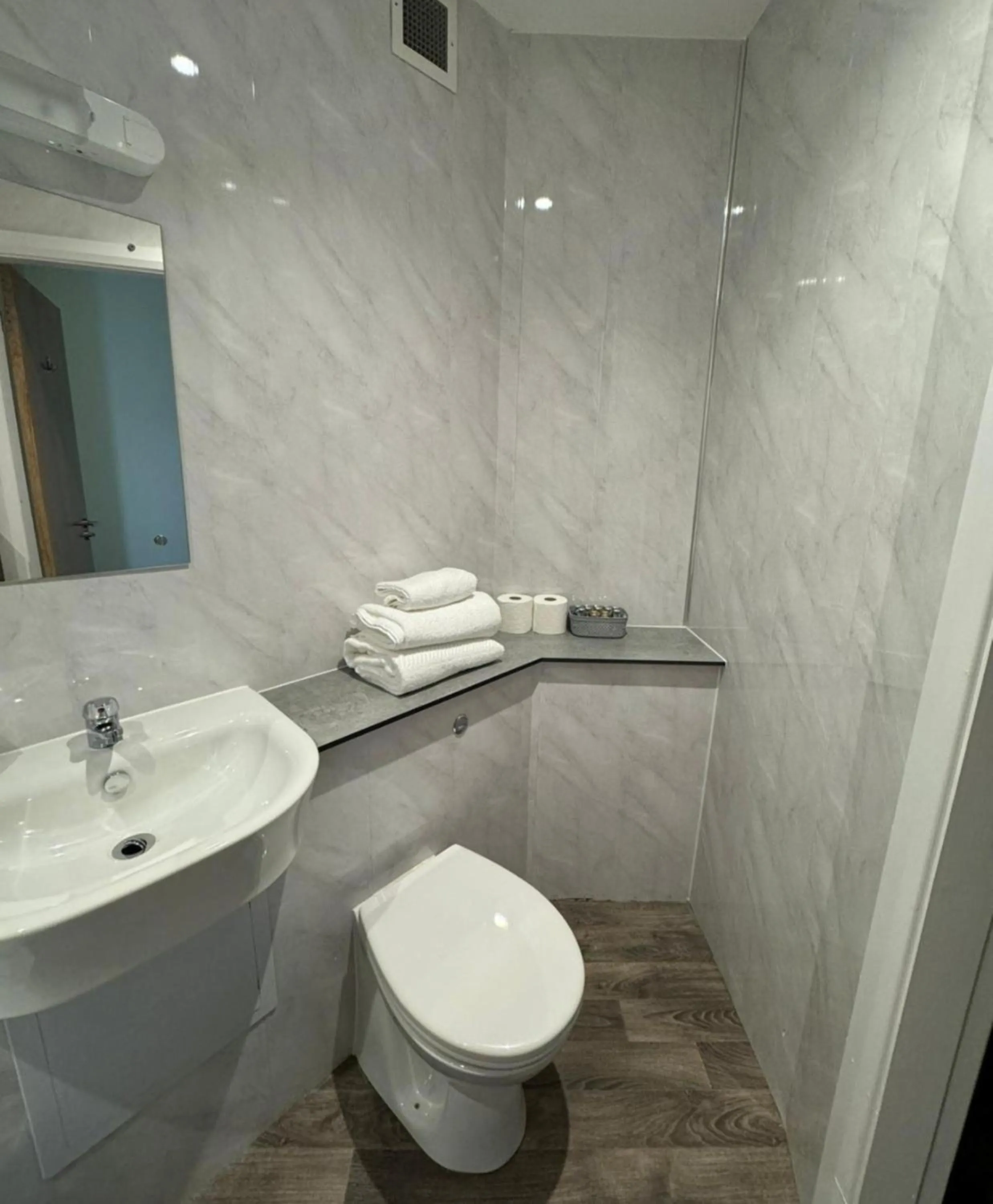 Toilet in Britannia Inn Glasgow