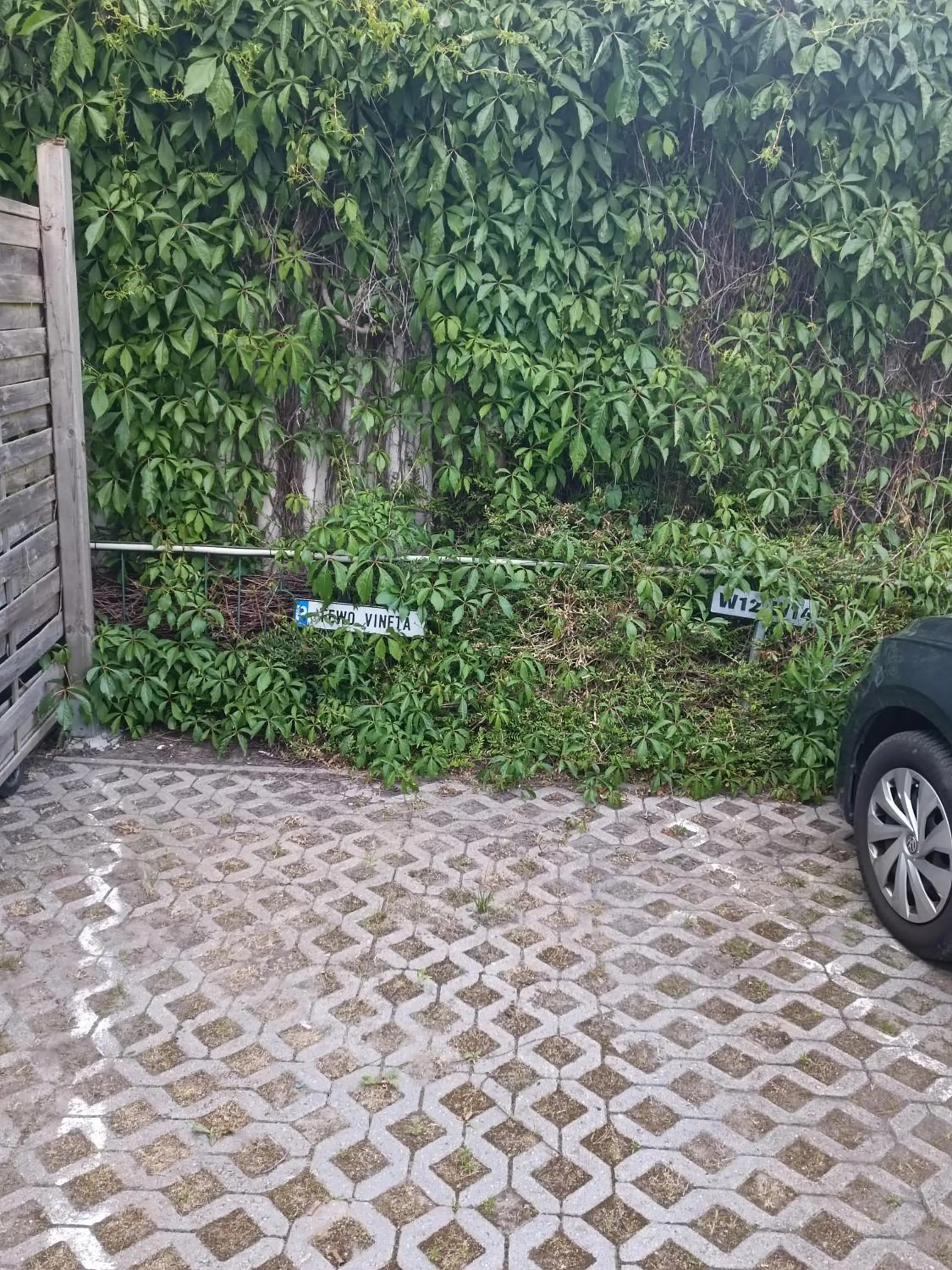 Parking in FeWo Vineta