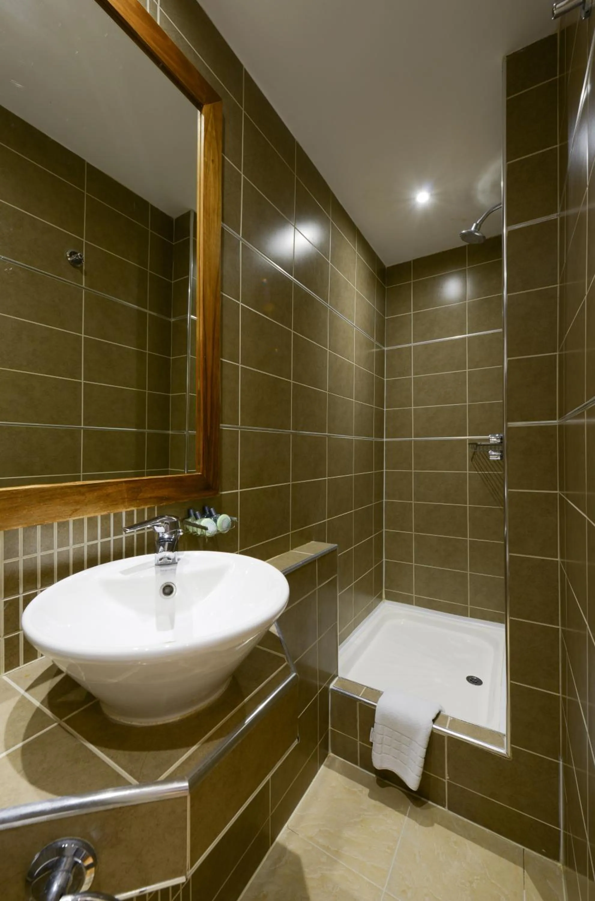 Shower in New Linden Hotel