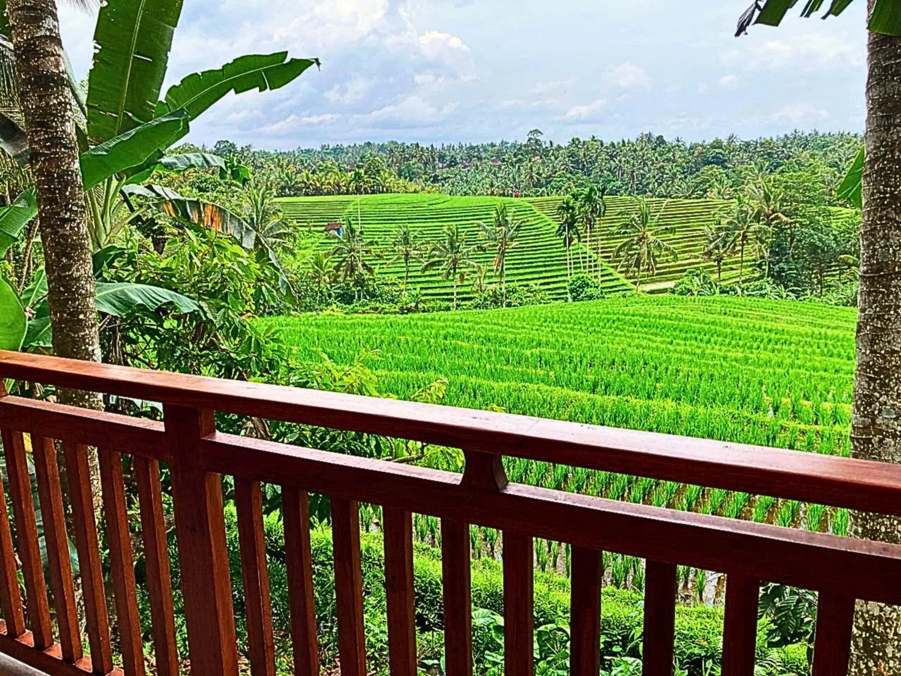 View (from property/room) in Antagana Retreat